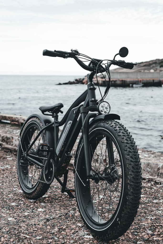 Coastal Cruiser
