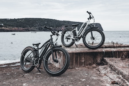 Two bicycles are positioned on a rustic concrete platform near a body of water with a backdrop of distant hills and a cloudy sky. The bikes feature sturdy frames and wide tires, suited for adventurous terrain.