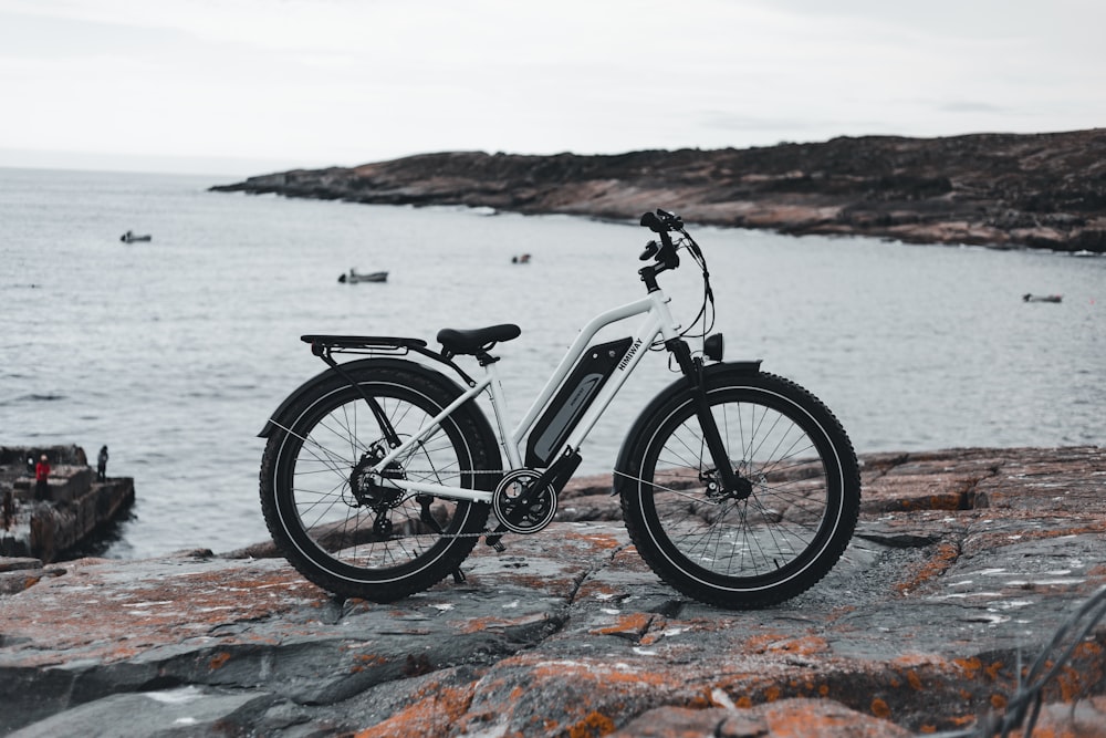 Bicicleta de montaña rígida en blanco y negro en la costa rocosa marrón durante el día