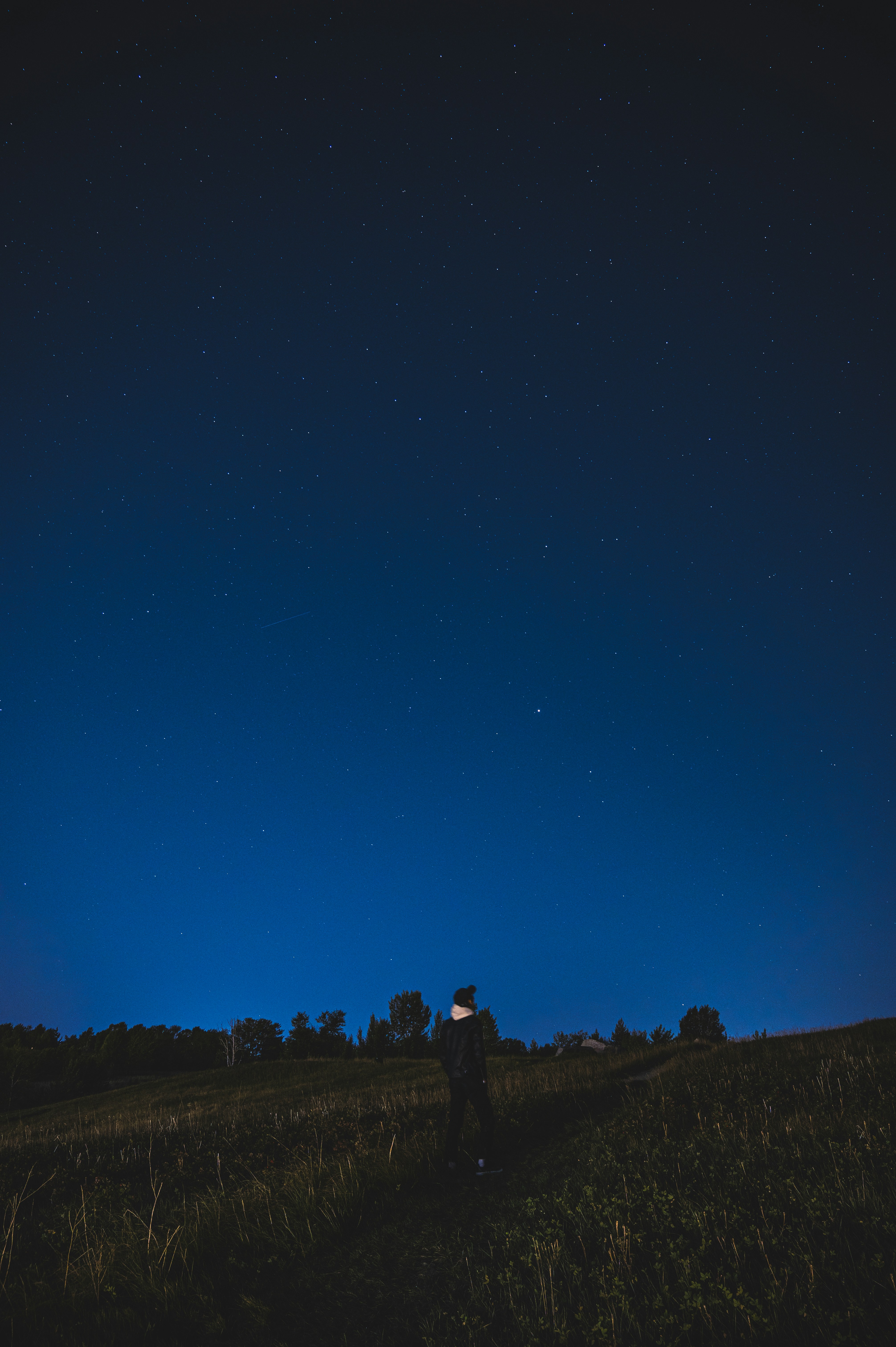 Photo by ryunosuke_kikuno