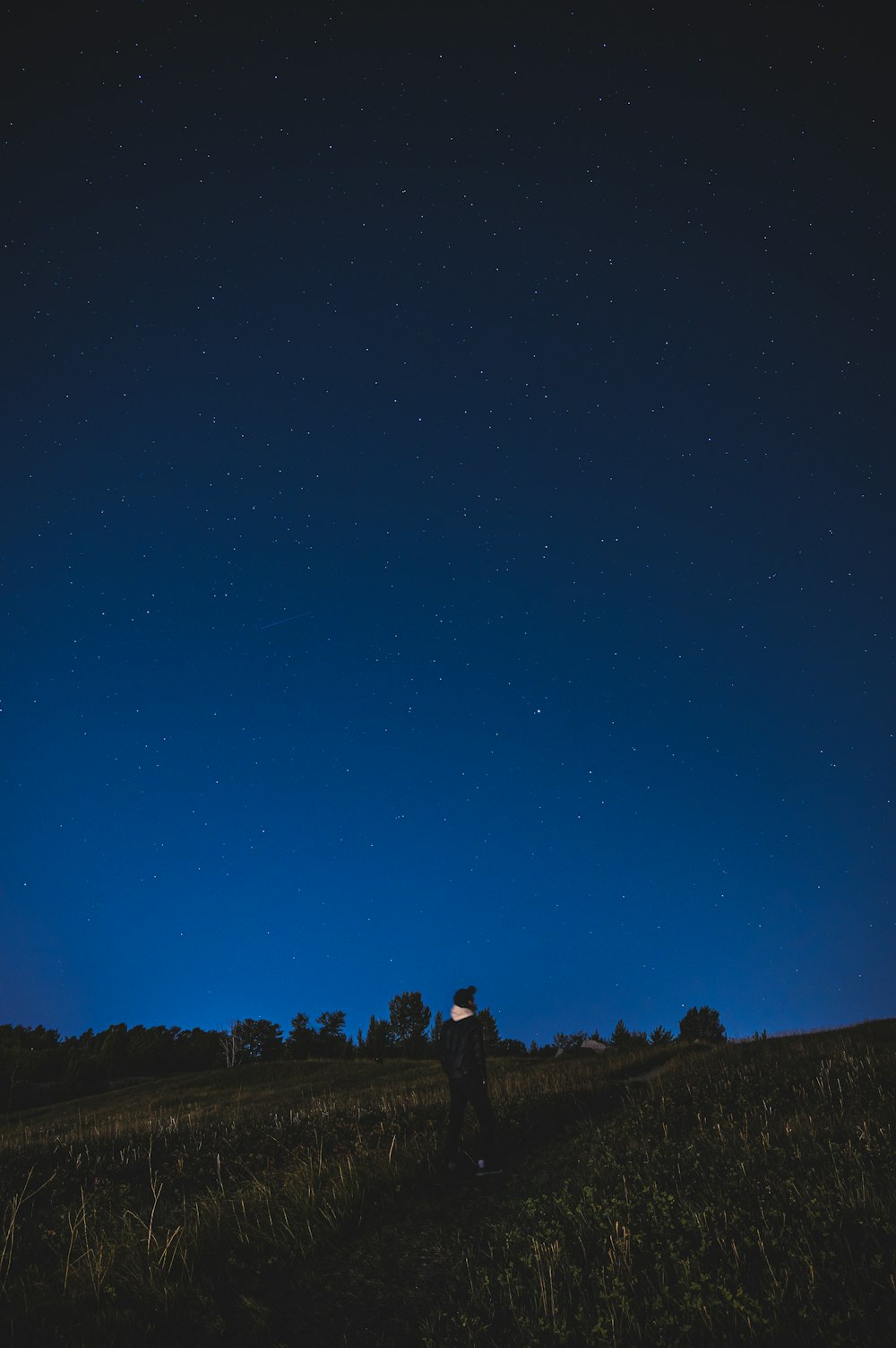 silhouette of people standing on hill under blue sky during night time