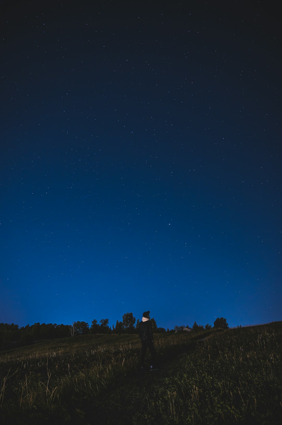 silhouette of people standing on hill under blue sky during night time