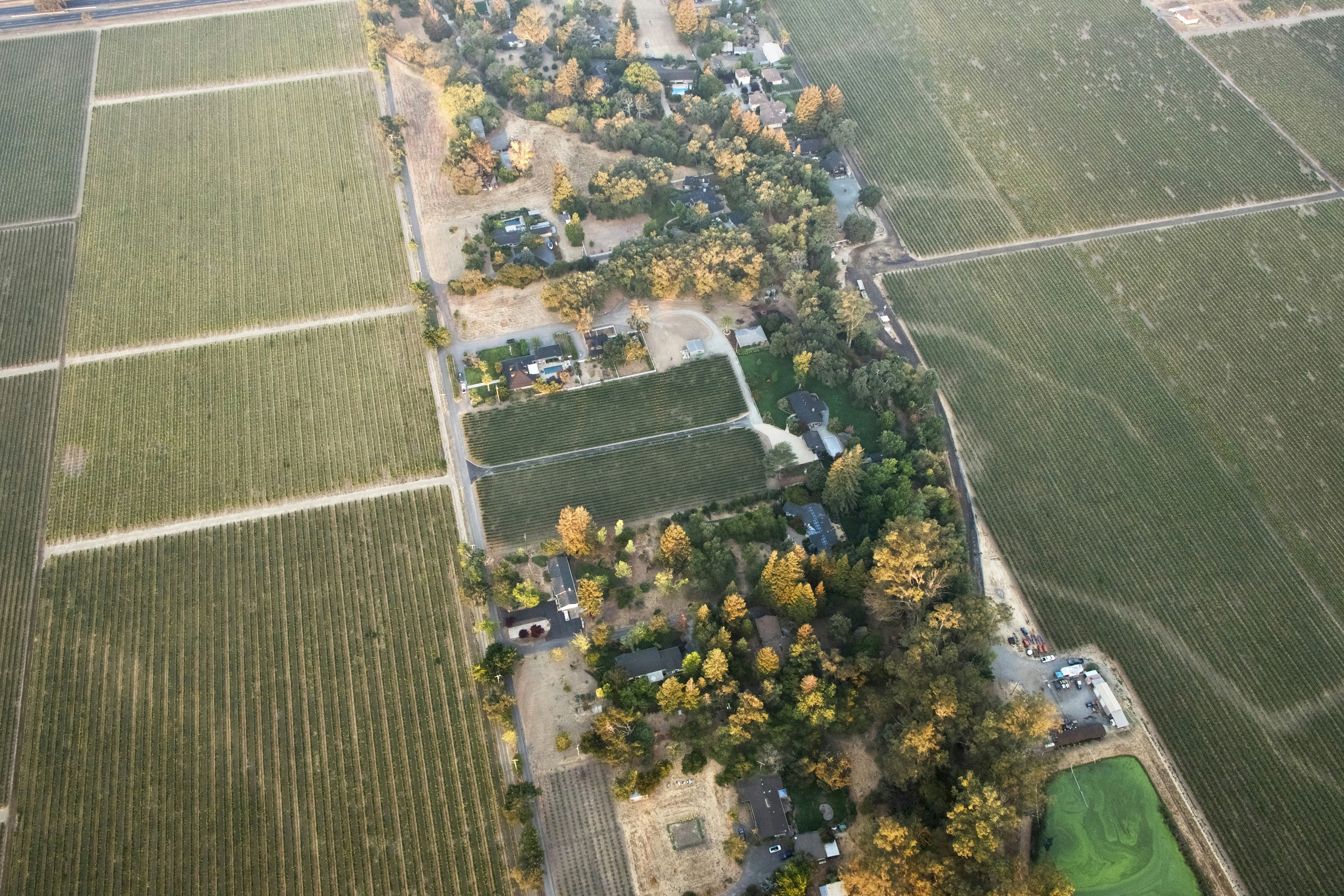 aerial view of green grass field