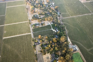aerial view of green grass field