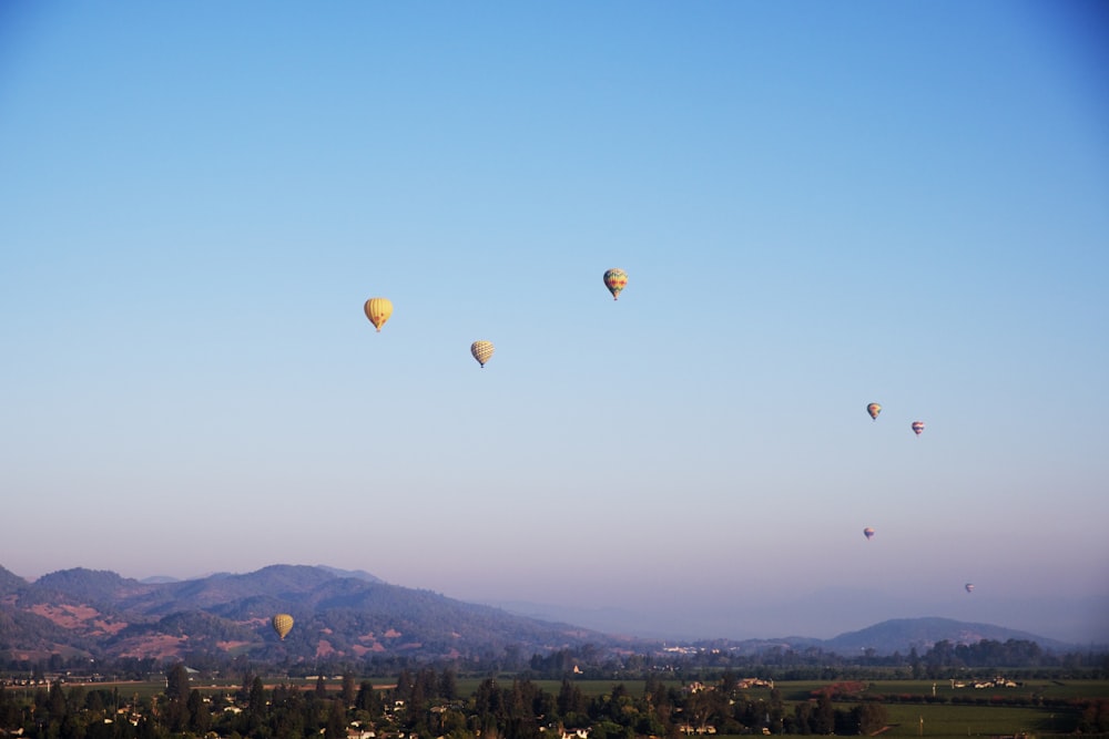 hot air balloons flying over city during daytime