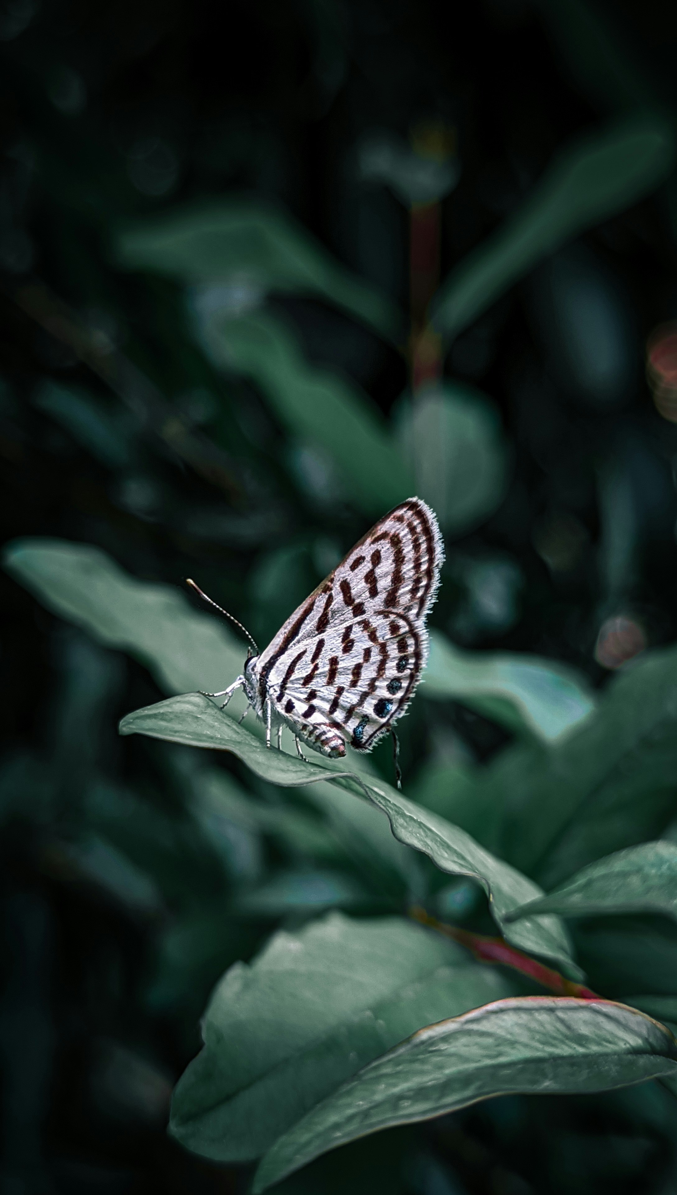 Photo by thebtechguy