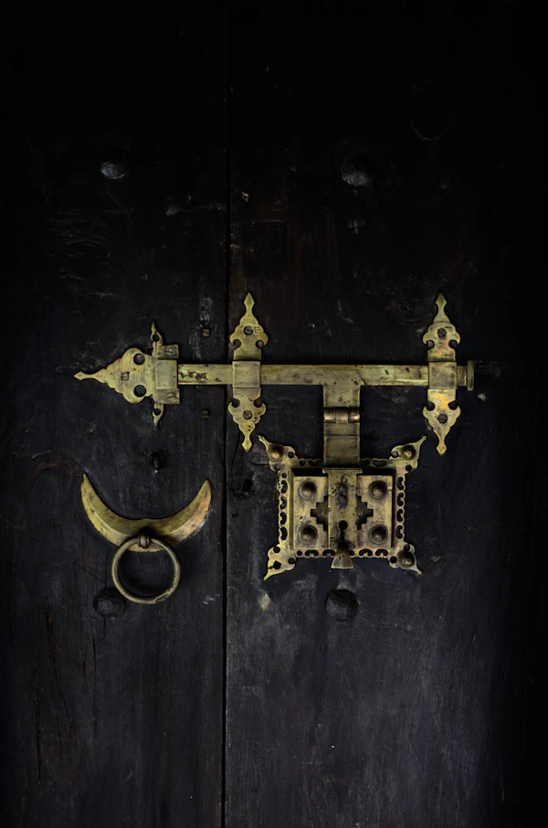 Poignée et serrure dorées sur porte d'entrée noire