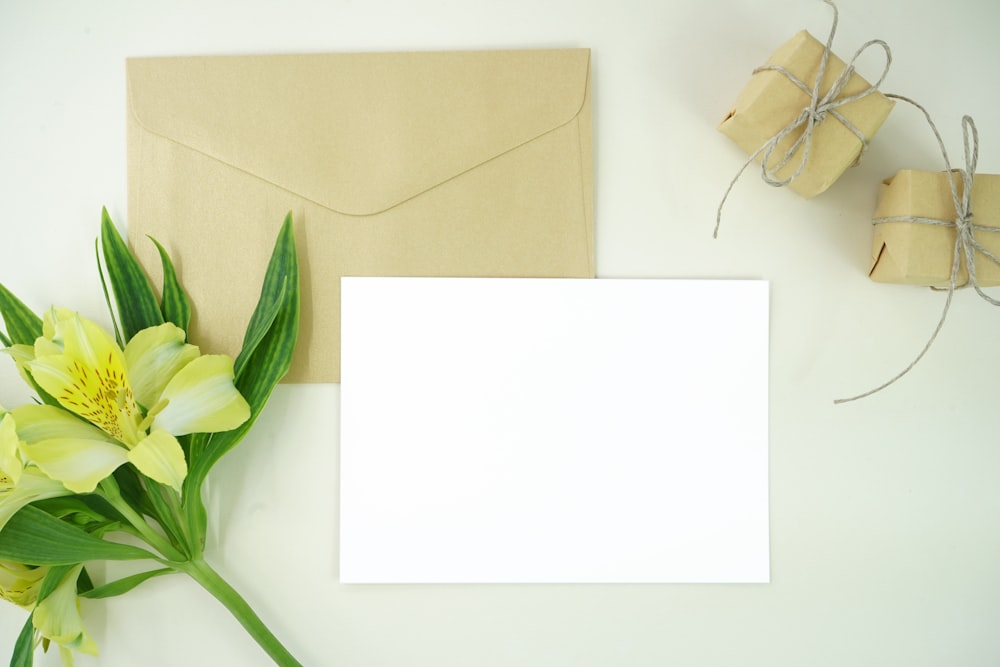 white paper beside green flower