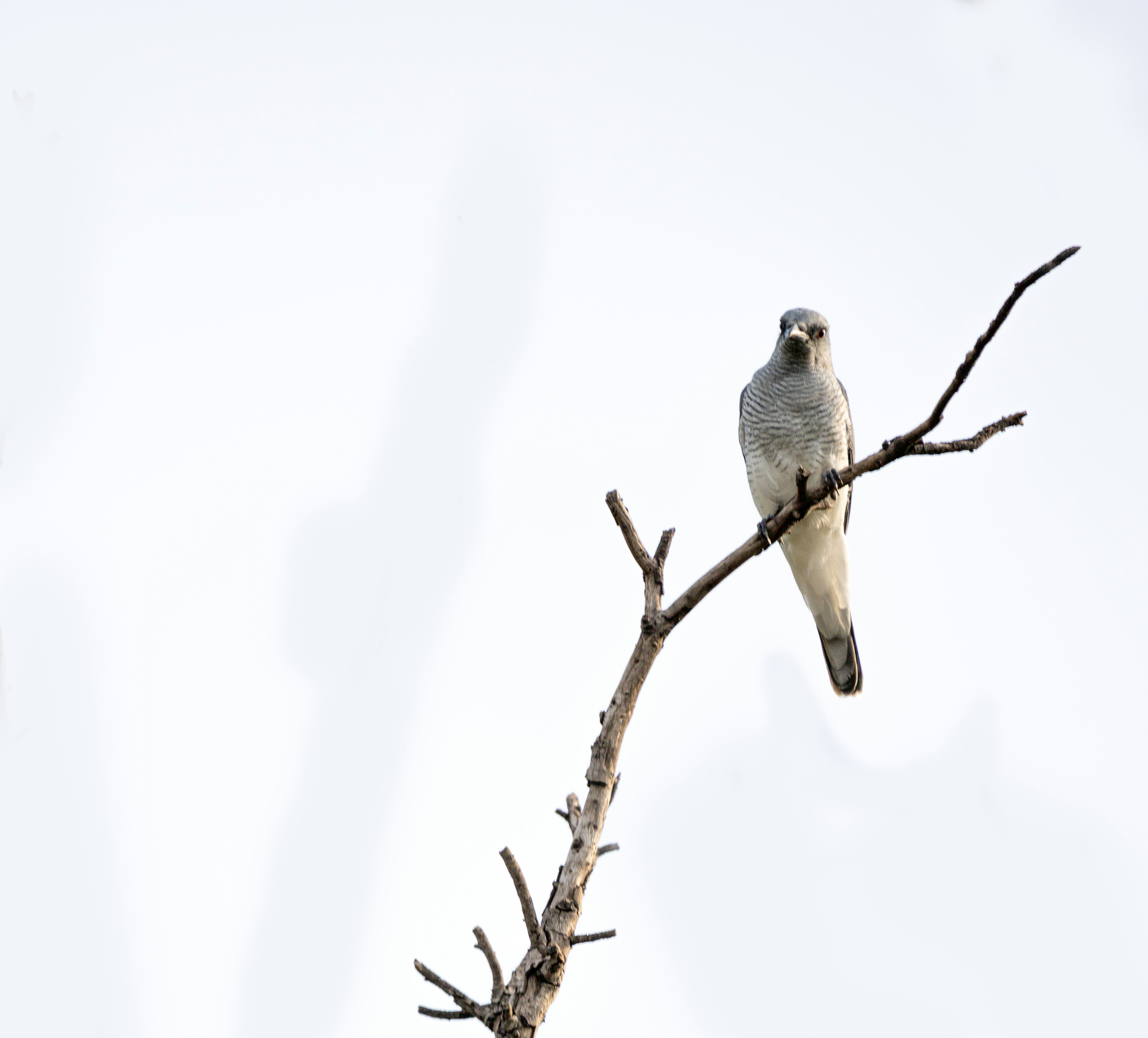 Photo by wildandbeyondbyvivek