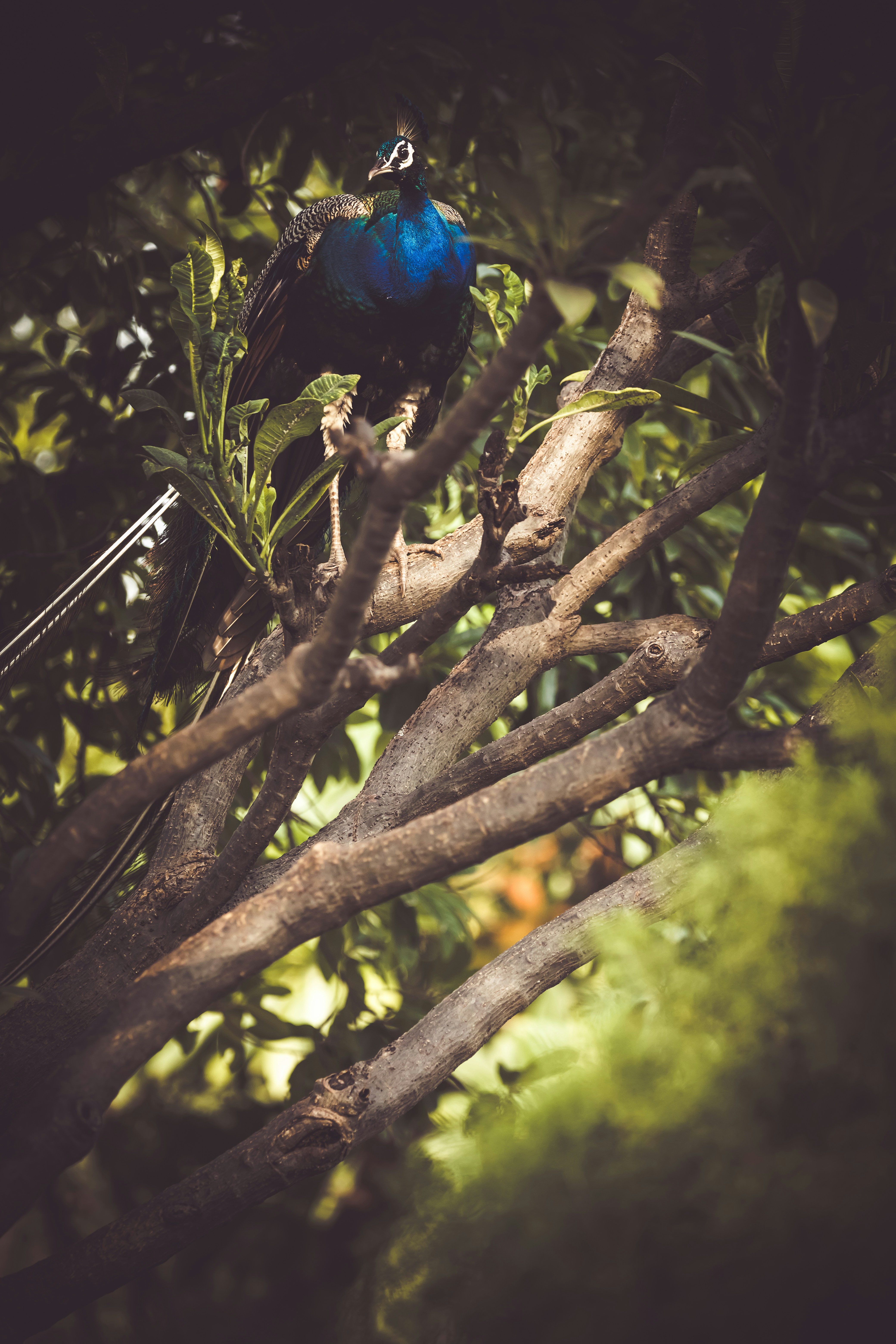 Photo by wildandbeyondbyvivek