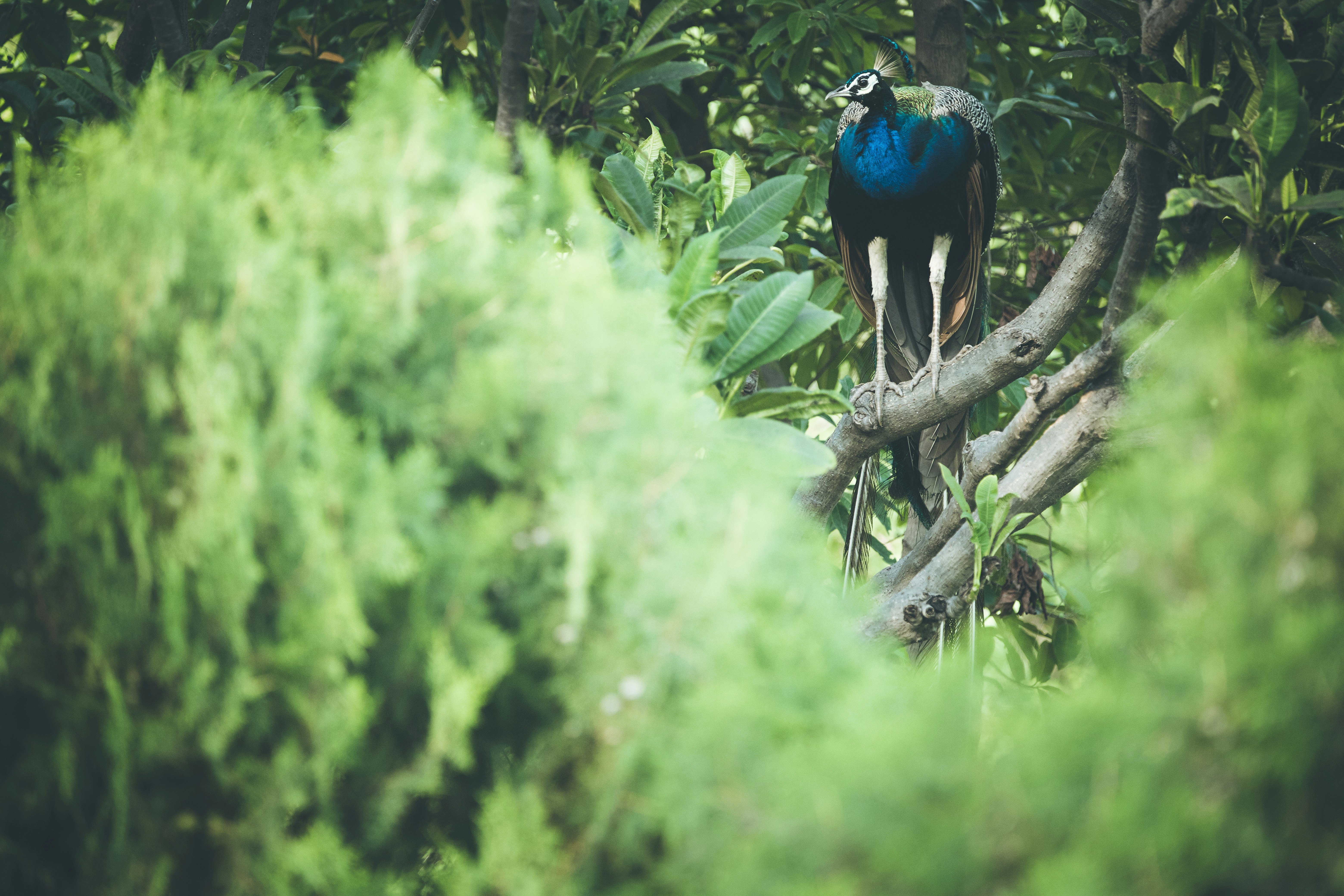 Photo by wildandbeyondbyvivek