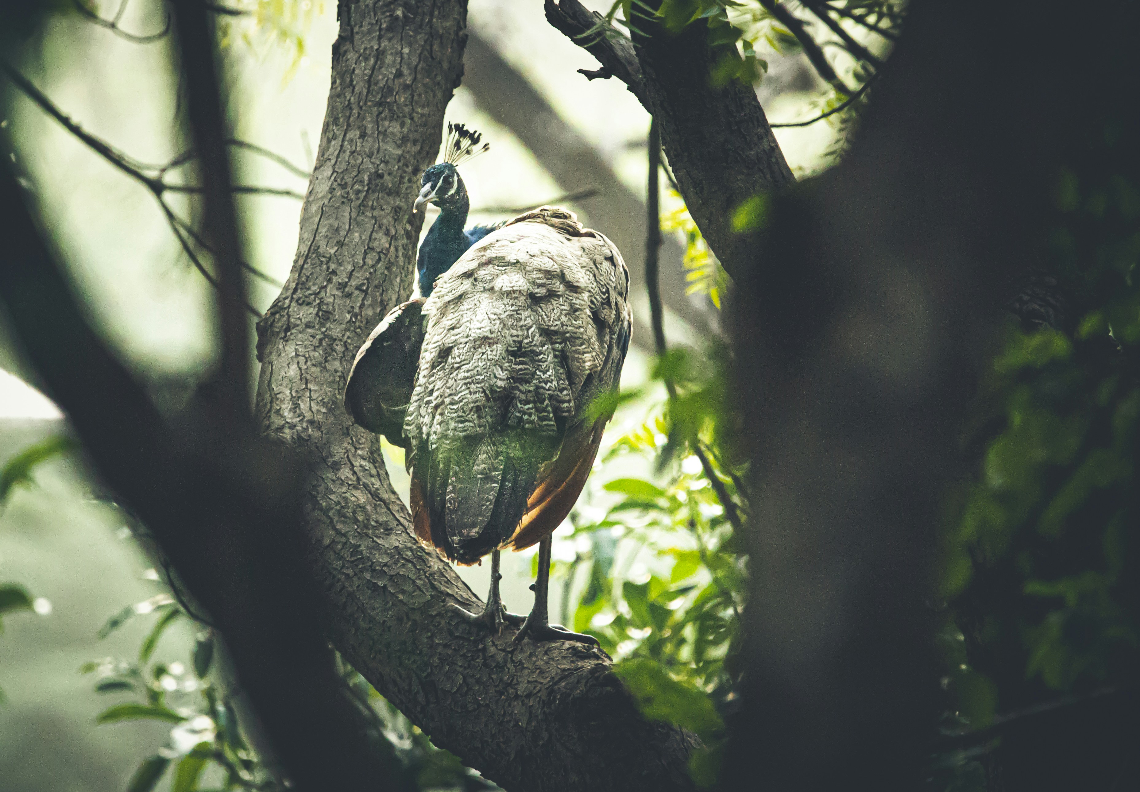 Photo by wildandbeyondbyvivek
