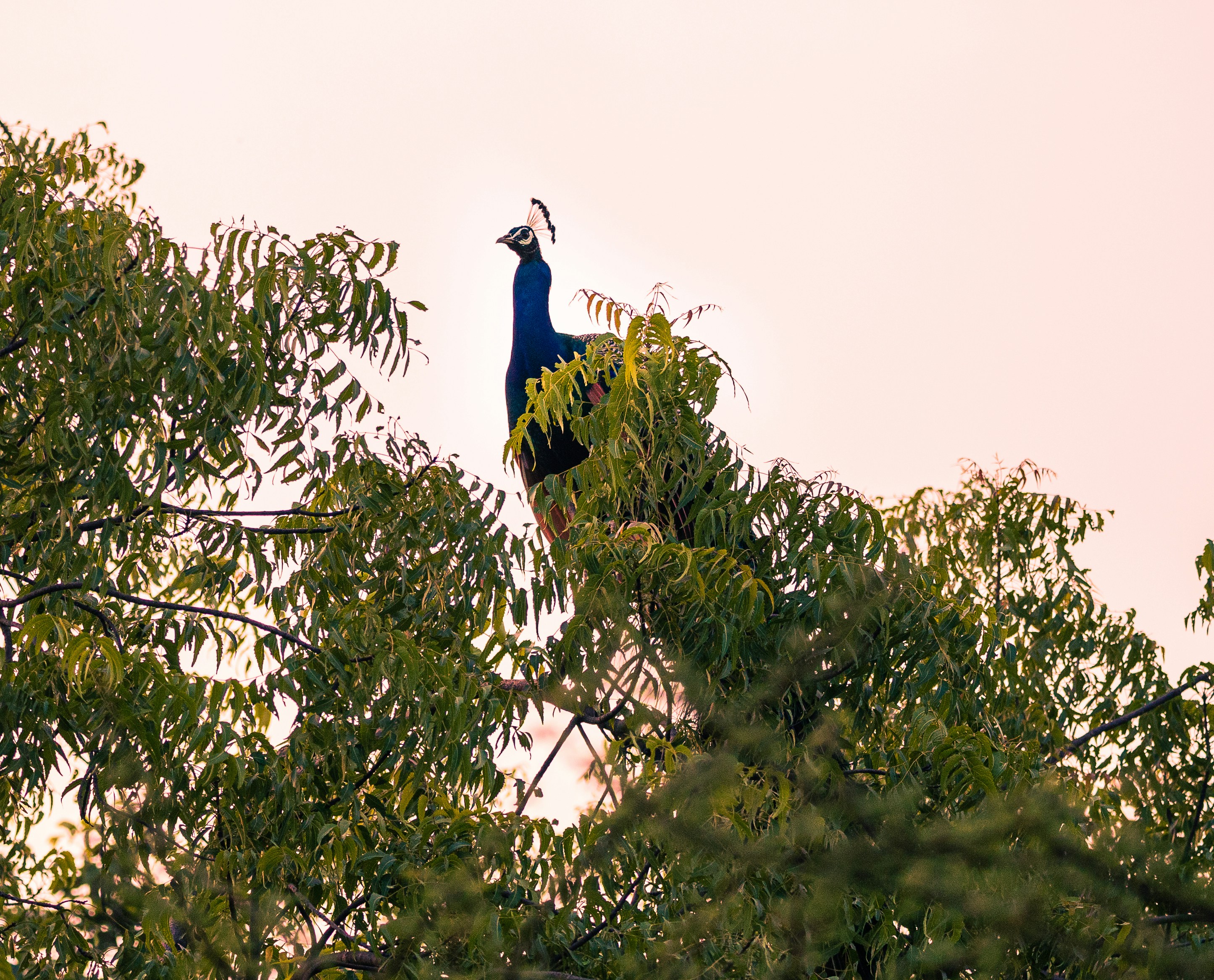 Photo by wildandbeyondbyvivek
