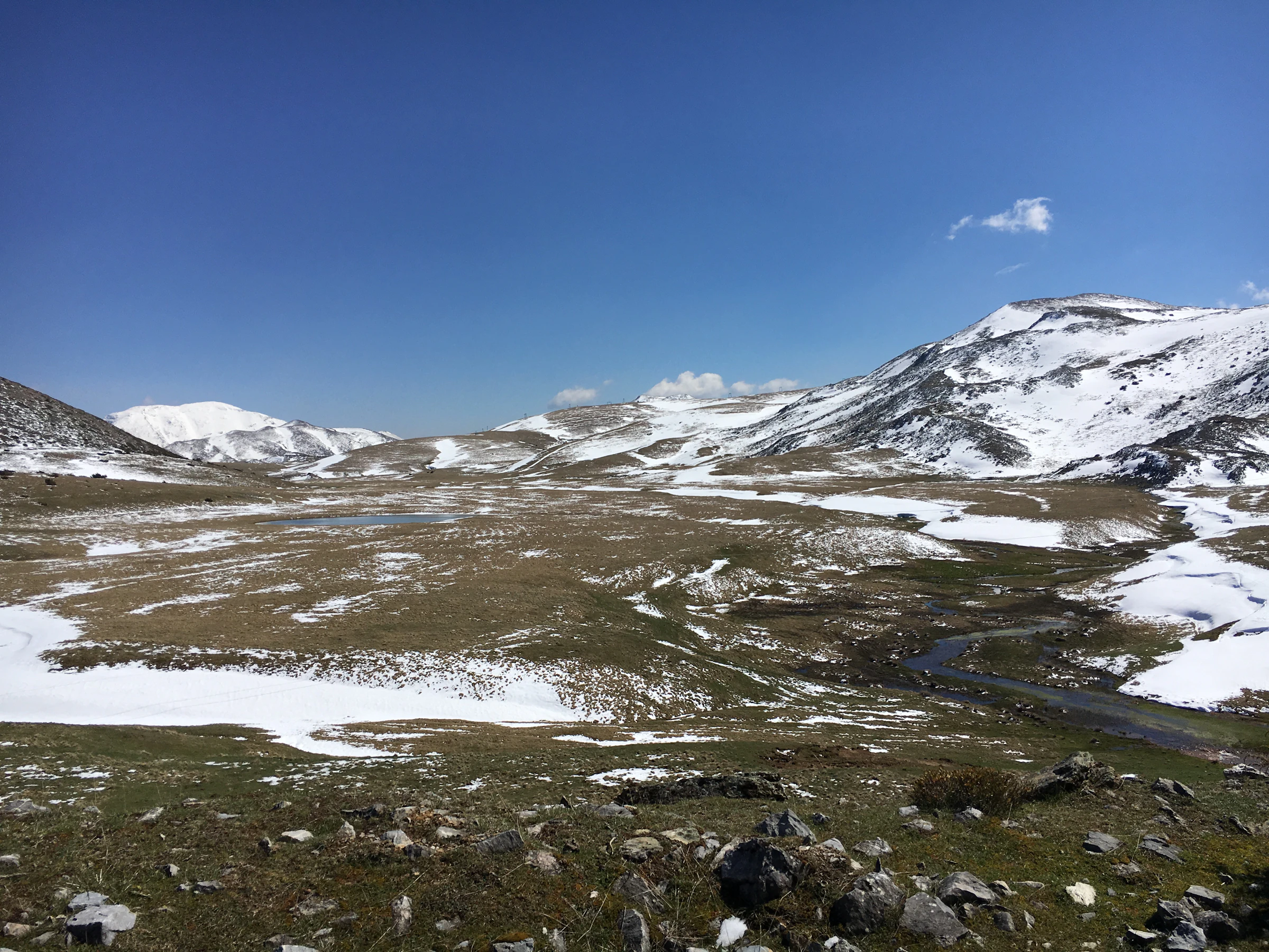 Snow on the high pastures of Mavrovo National Park
