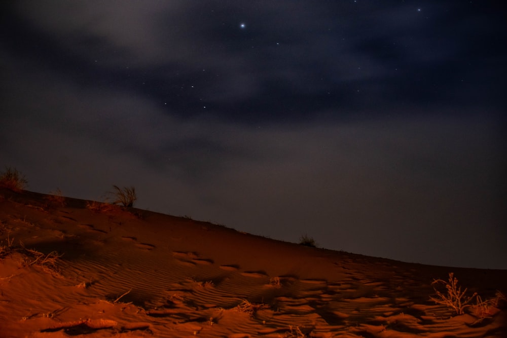 brown sand under starry night