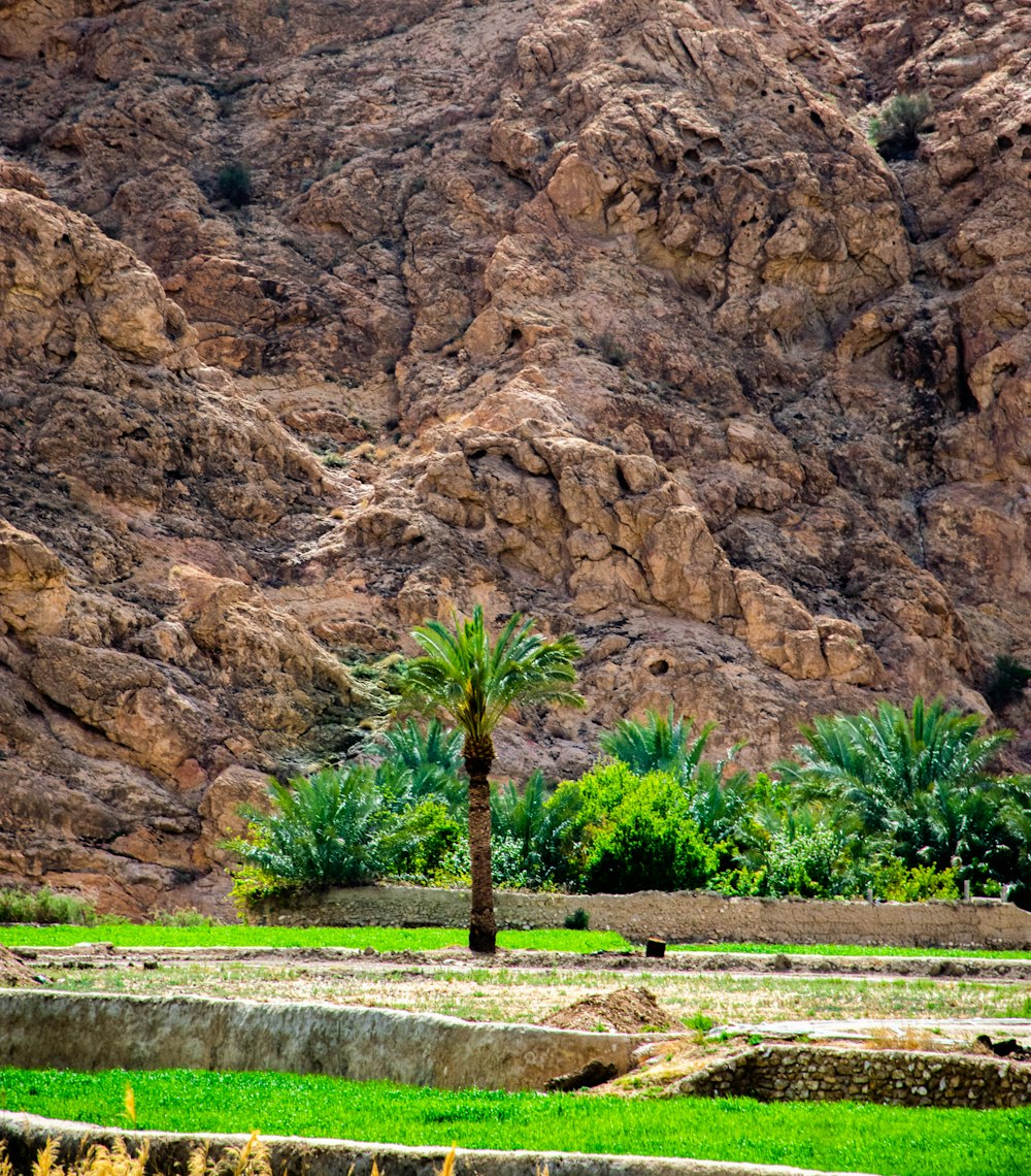 green grass field near brown rock formation during daytime