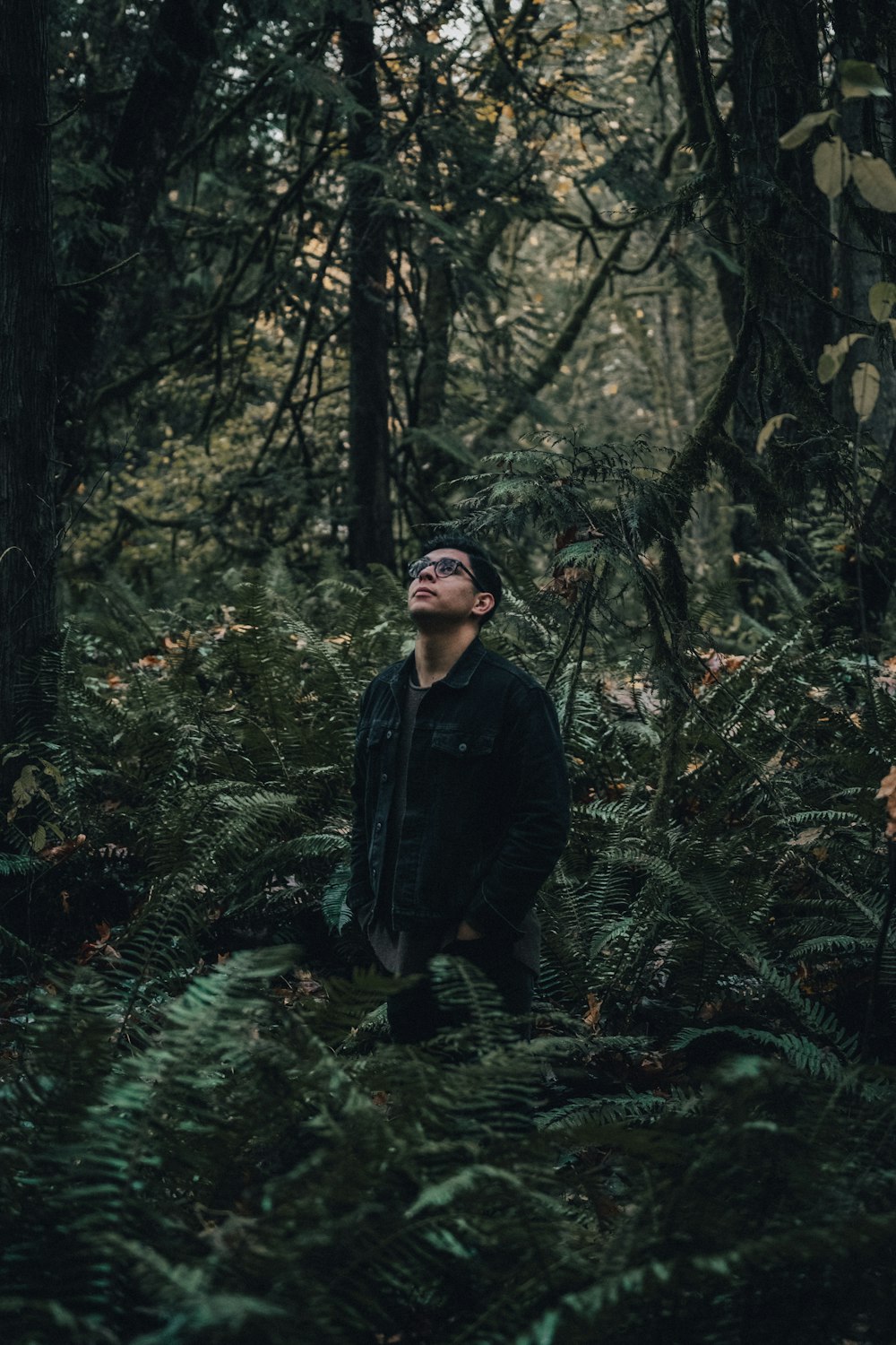 uomo in giacca nera in piedi nella foresta durante il giorno