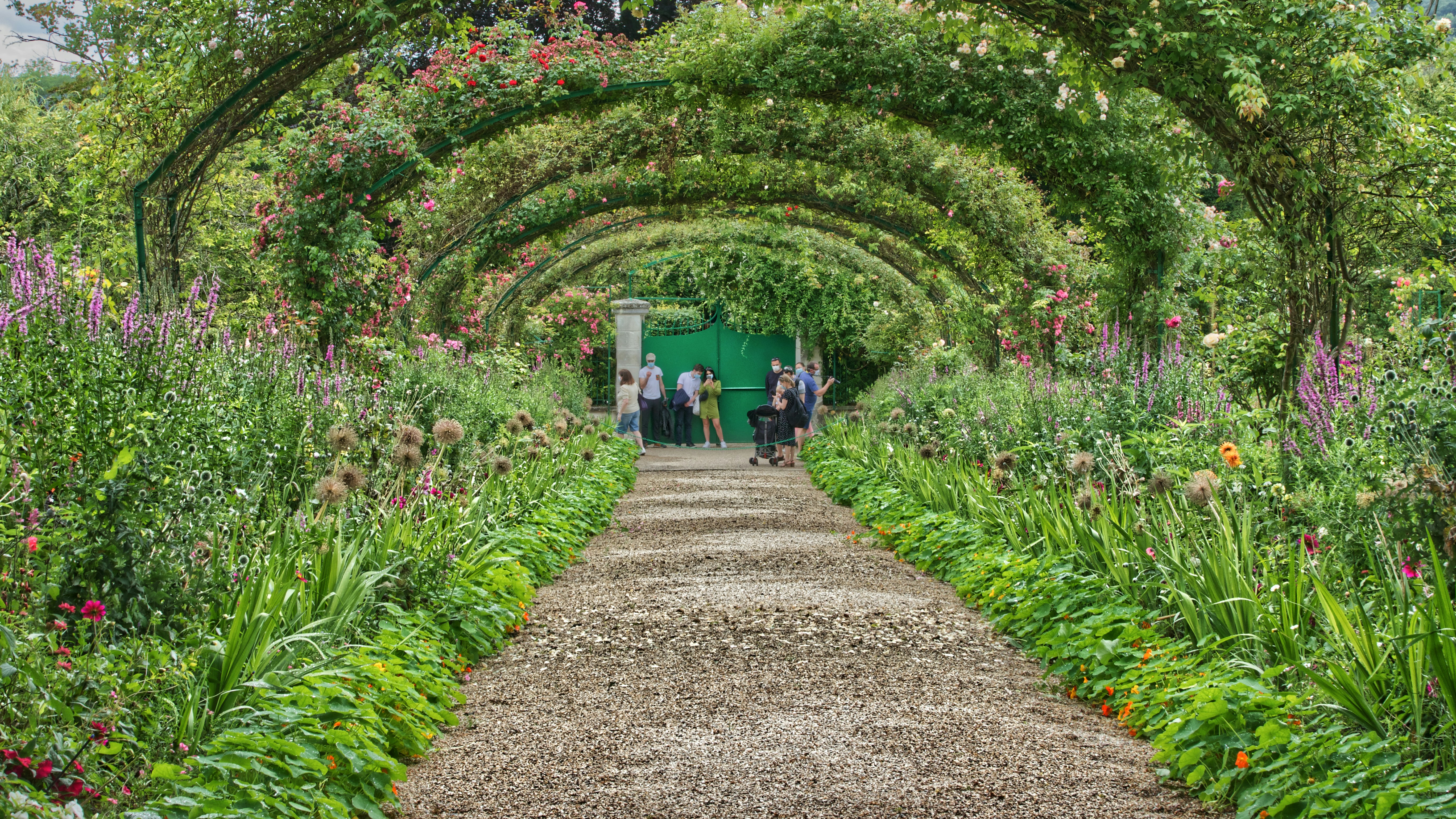 people walking on pathway in between green plants during daytime