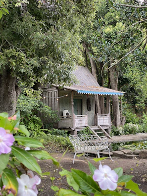 Rustic wooden cabin with a charming porch and garden in the countryside.