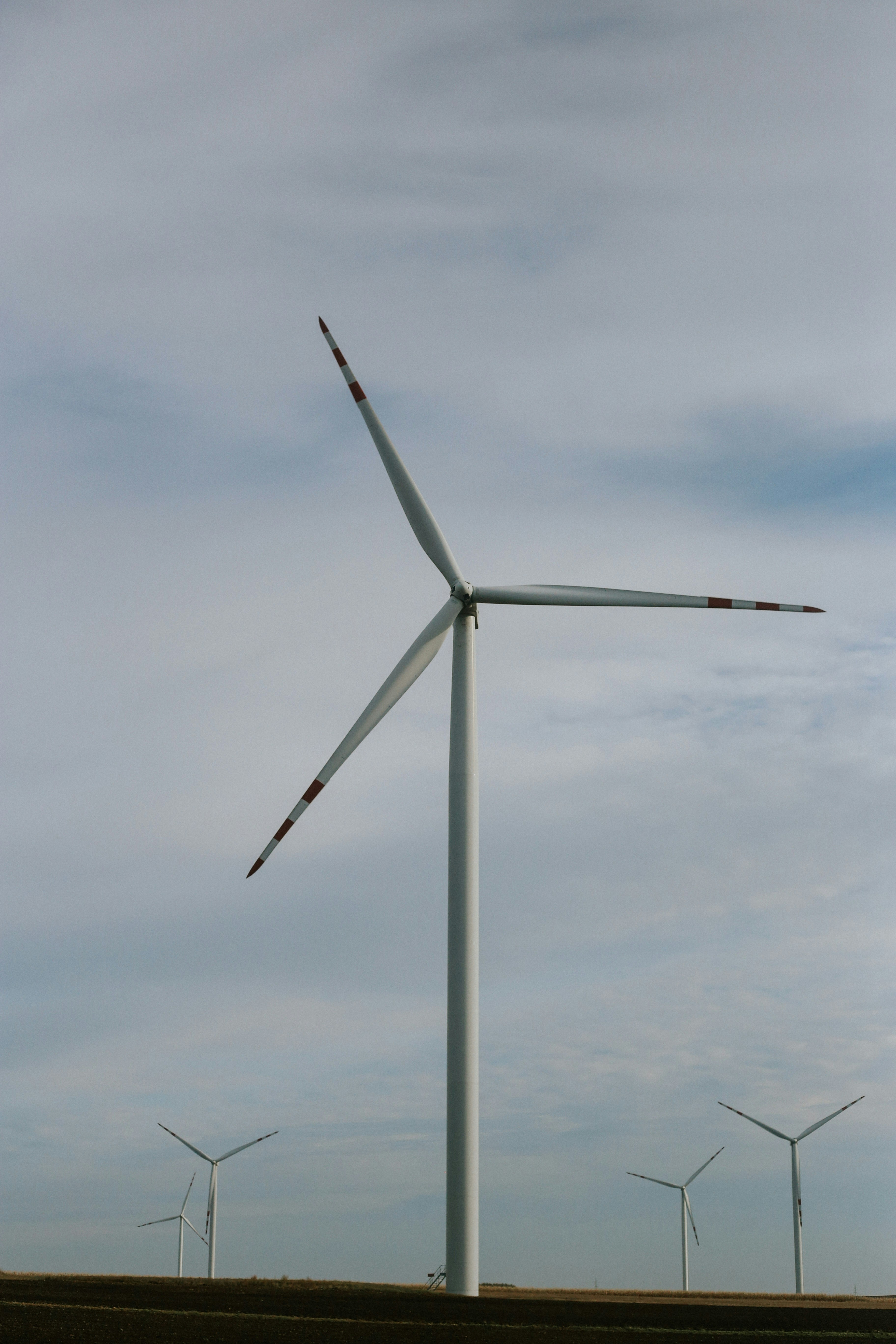 Photo by bennyrotlevy