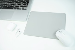 apple magic mouse beside apple magic mouse