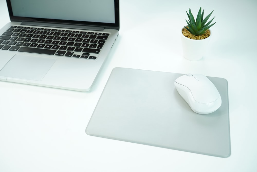 macbook pro beside green plant on white table