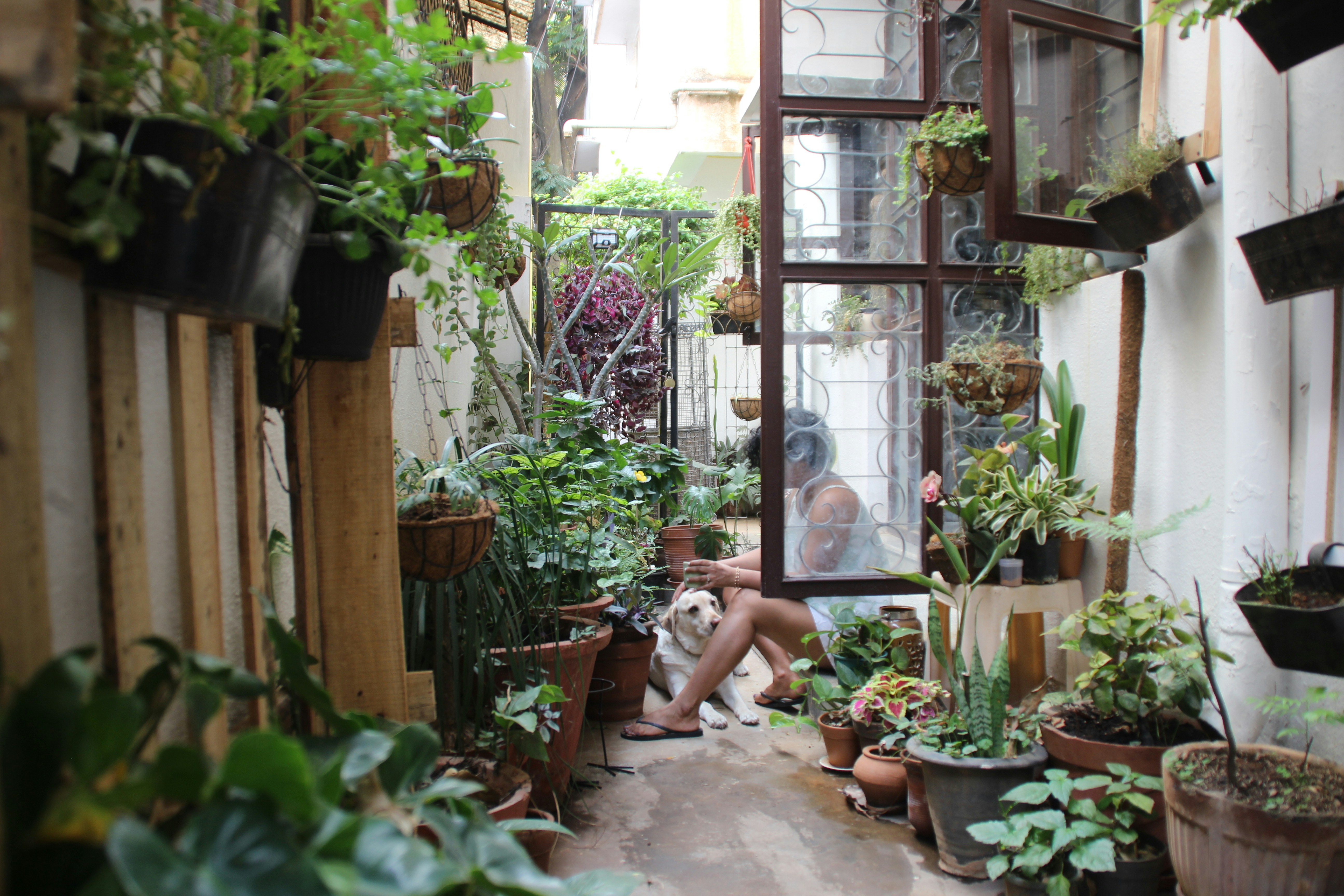 What Are The Best Herbs To Grow Indoors?