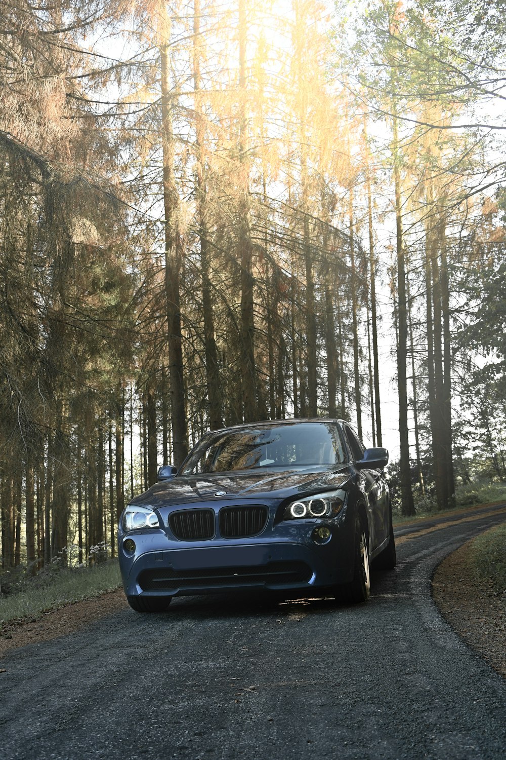 blue bmw m 3 on road in between trees during daytime