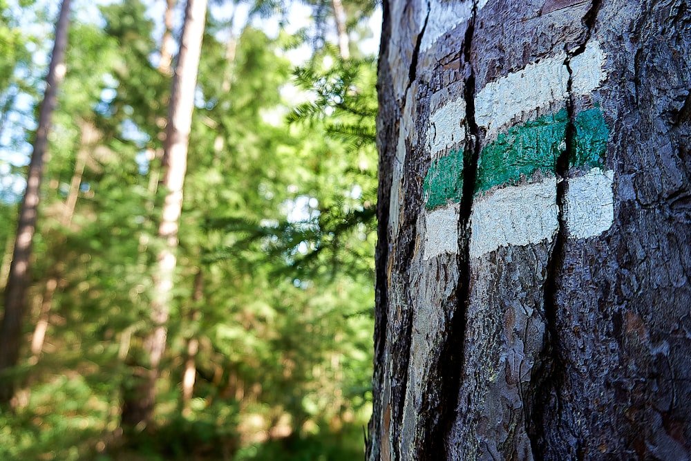 green and black tree trunk