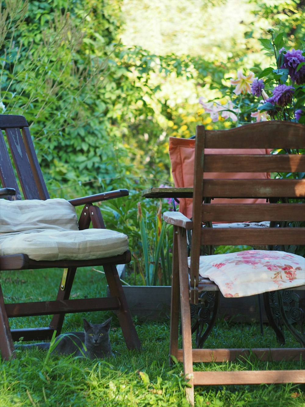 brown wooden chair with white cushion