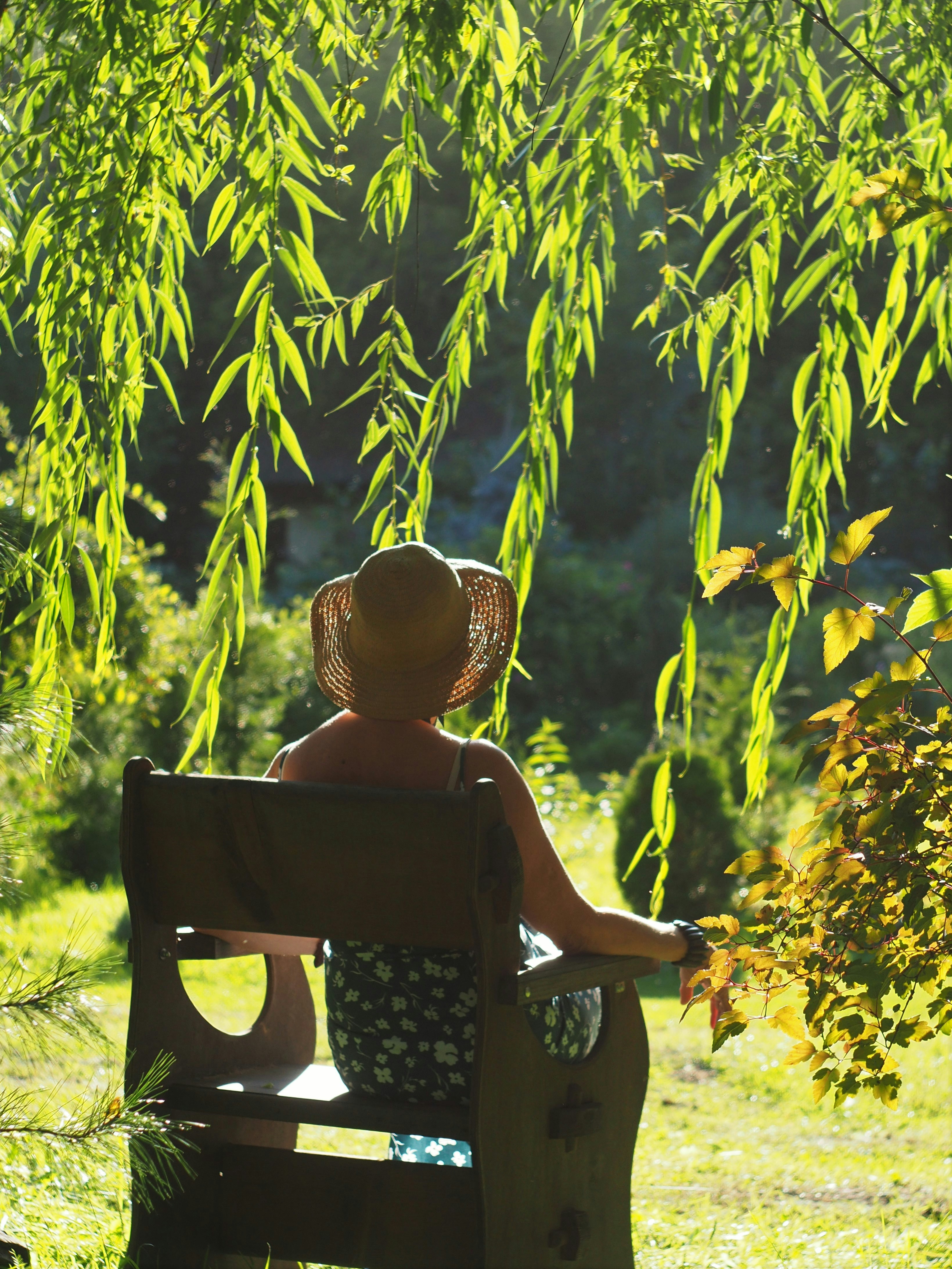Woman on the bench in the sunlight