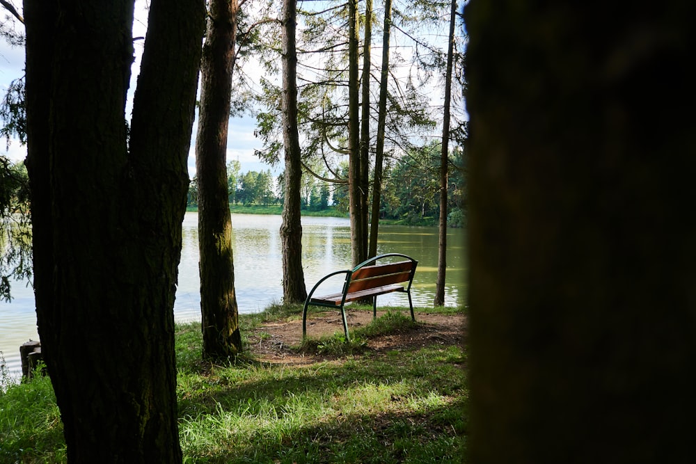 brown wooden bench on green grass field near body of water during daytime