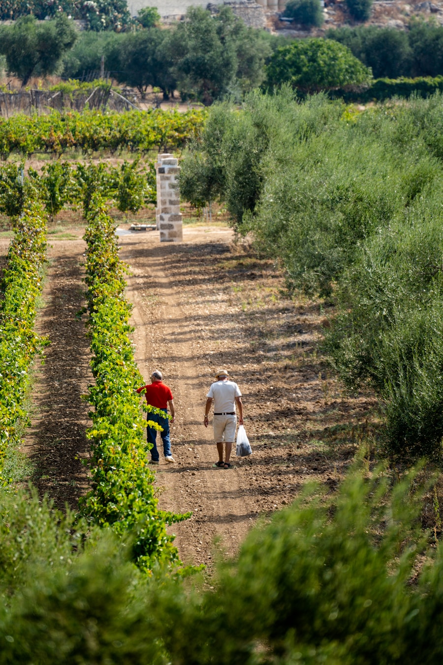 Masseria San Giovanni Puglia