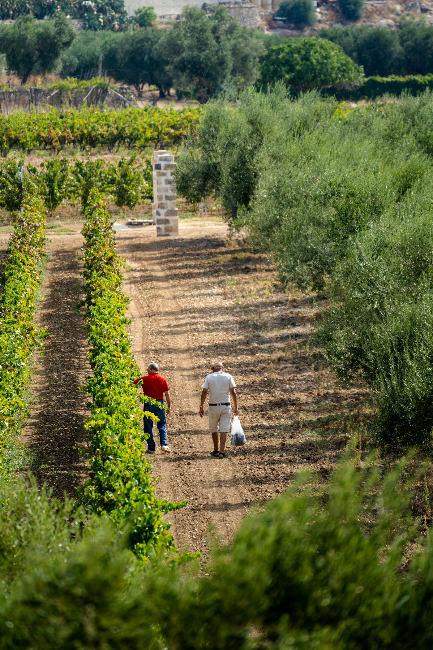 Masseria San Giovanni