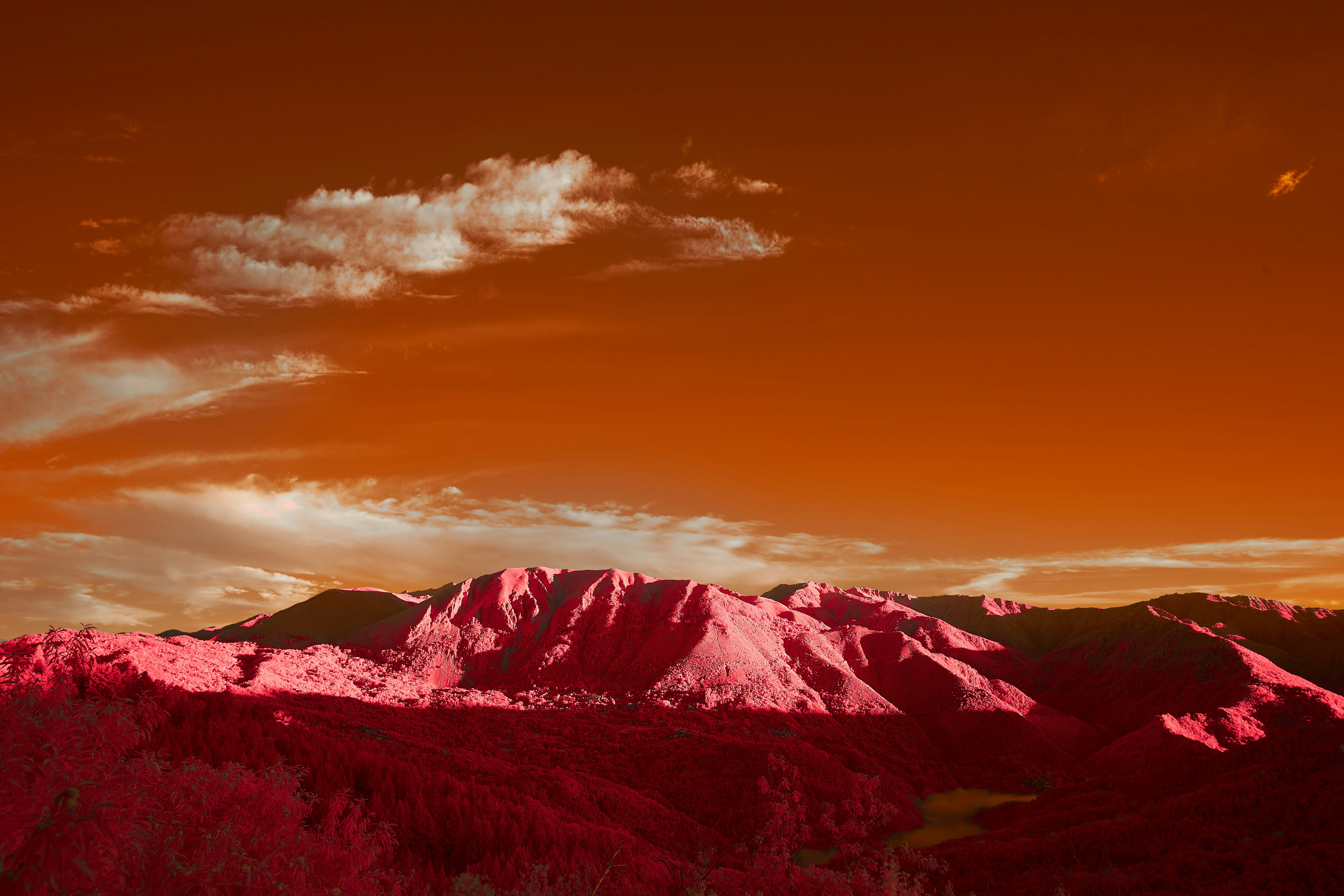 Photo by wolfgang_hasselmann