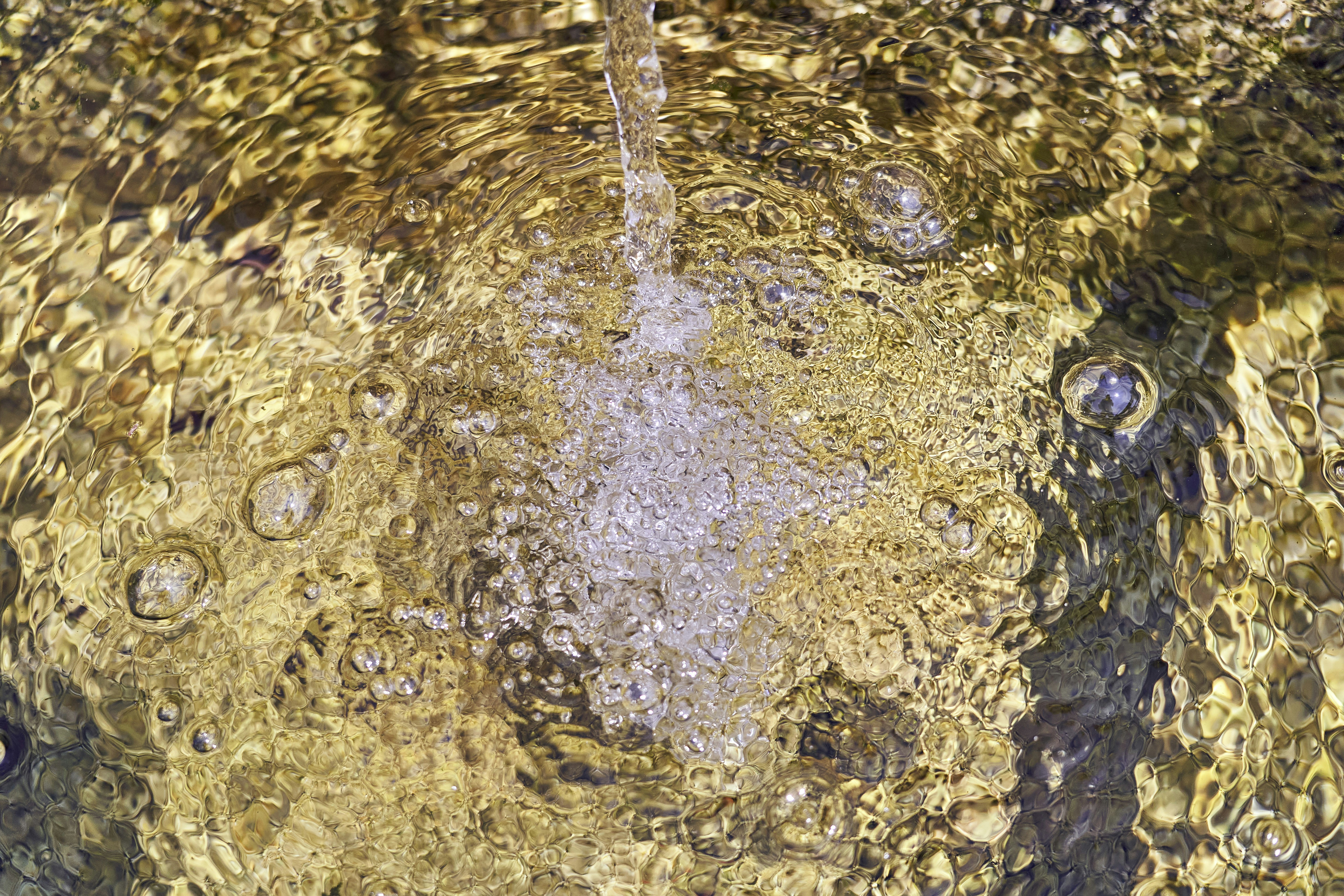 Photo by wolfgang_hasselmann