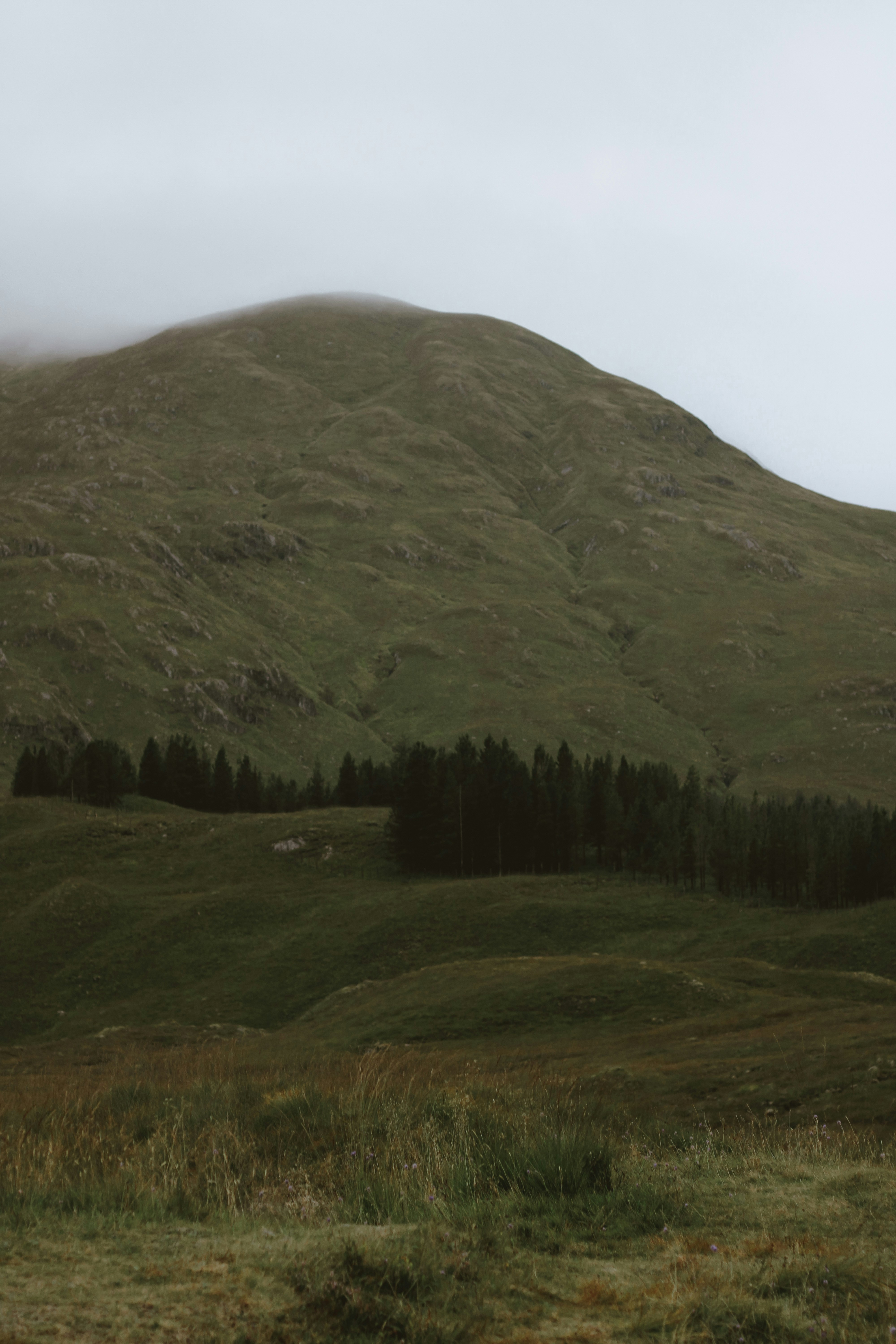 Photo by jorgeromann