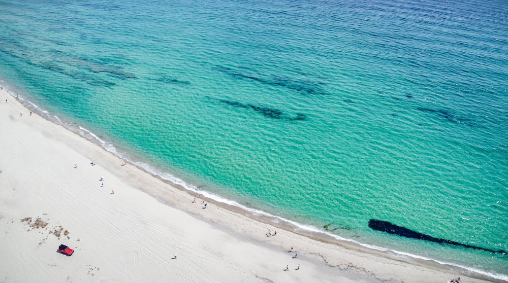 aerial view of beach during daytime