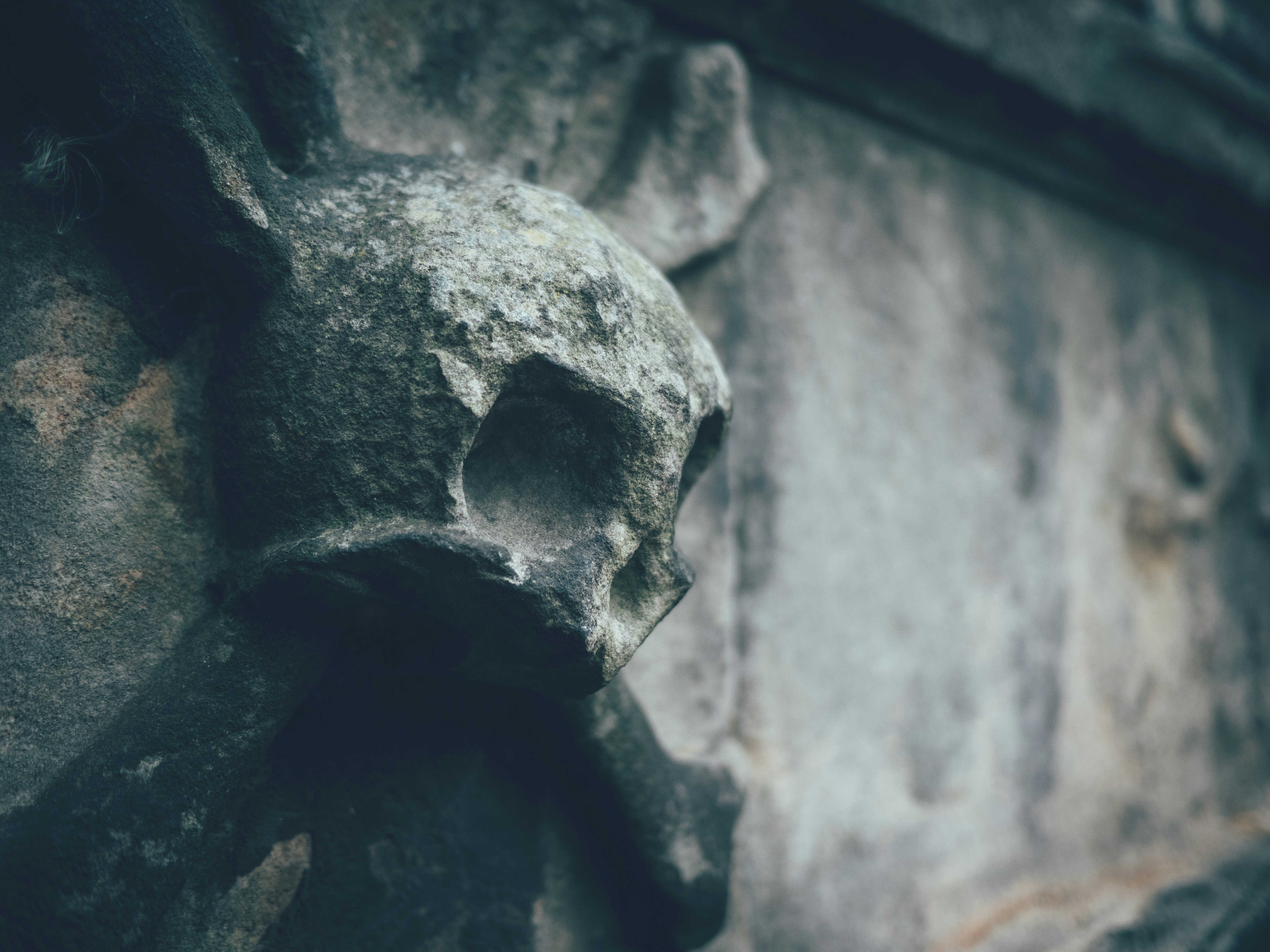 Photo by gregwillson