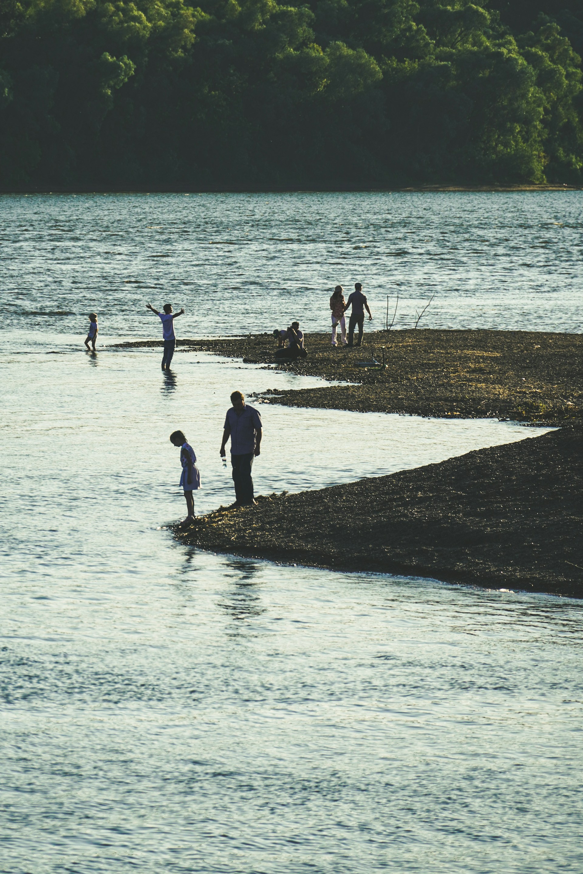people on beach during daytime