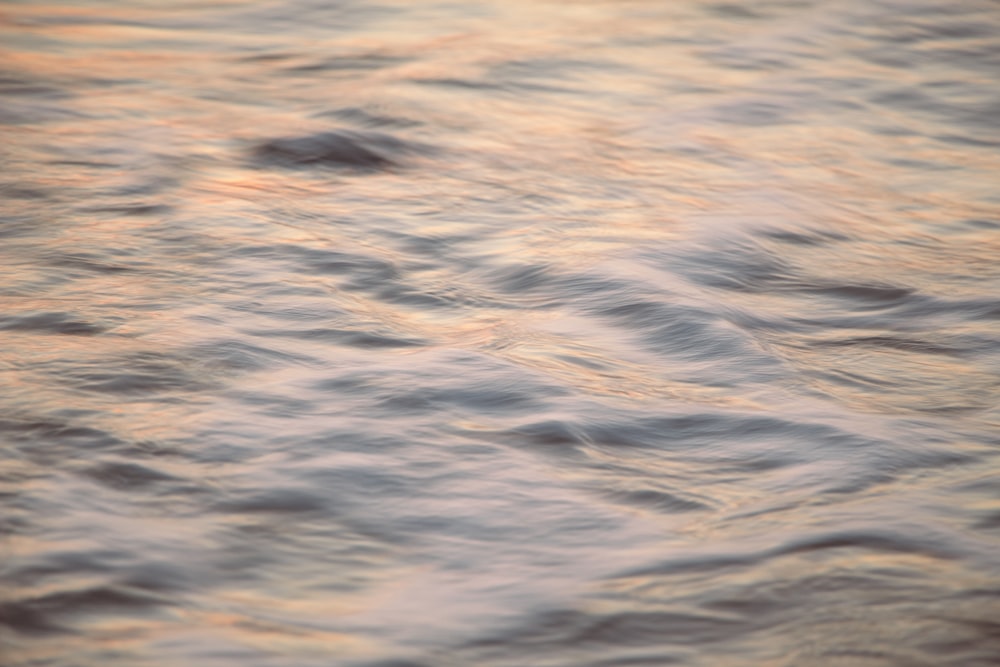 white and blue body of water