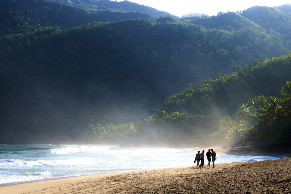 2 people walking on beach during daytime