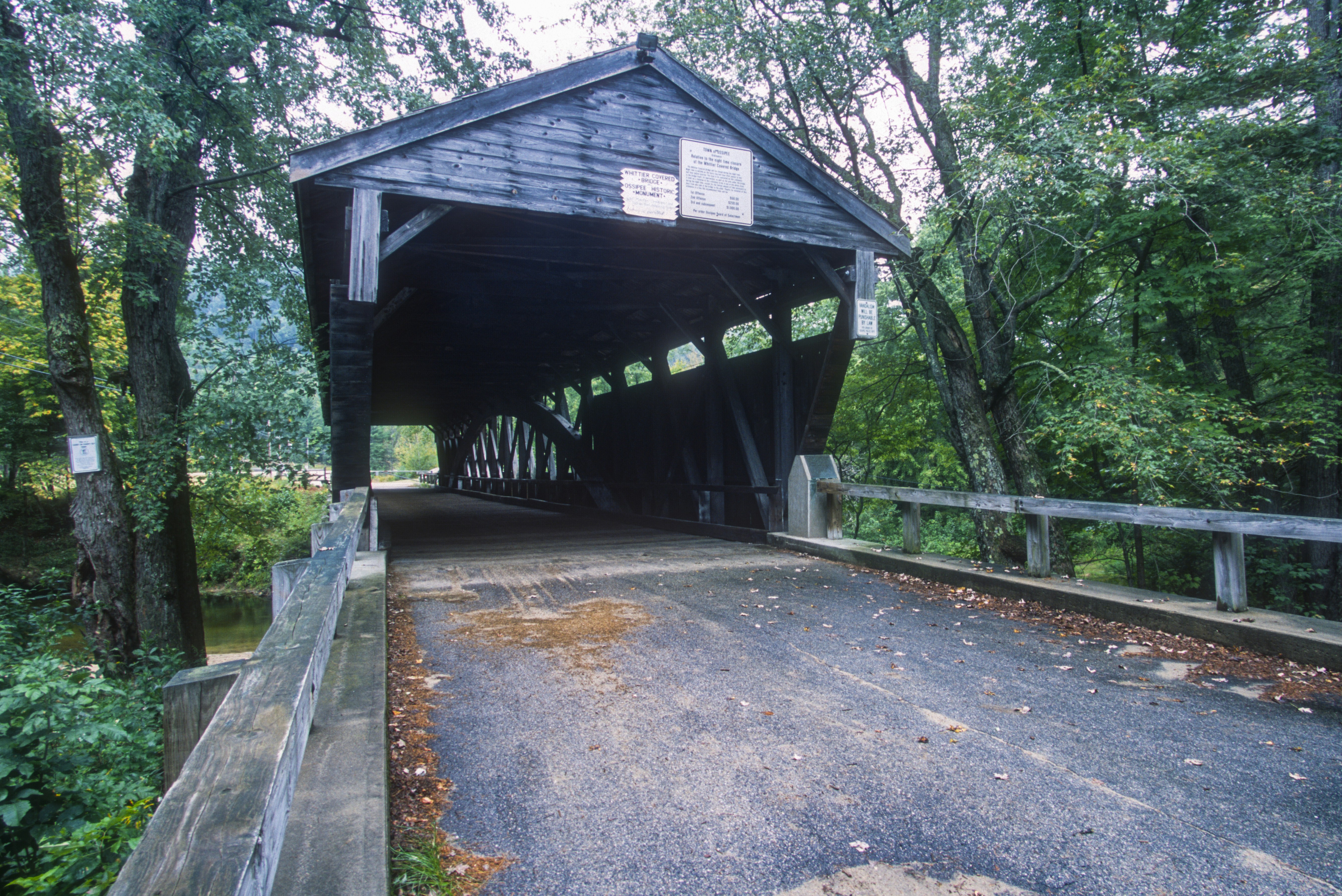 Photo by rocinante_11