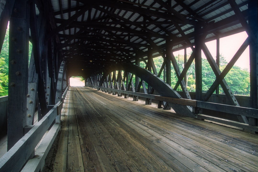 brown wooden bridge during daytime