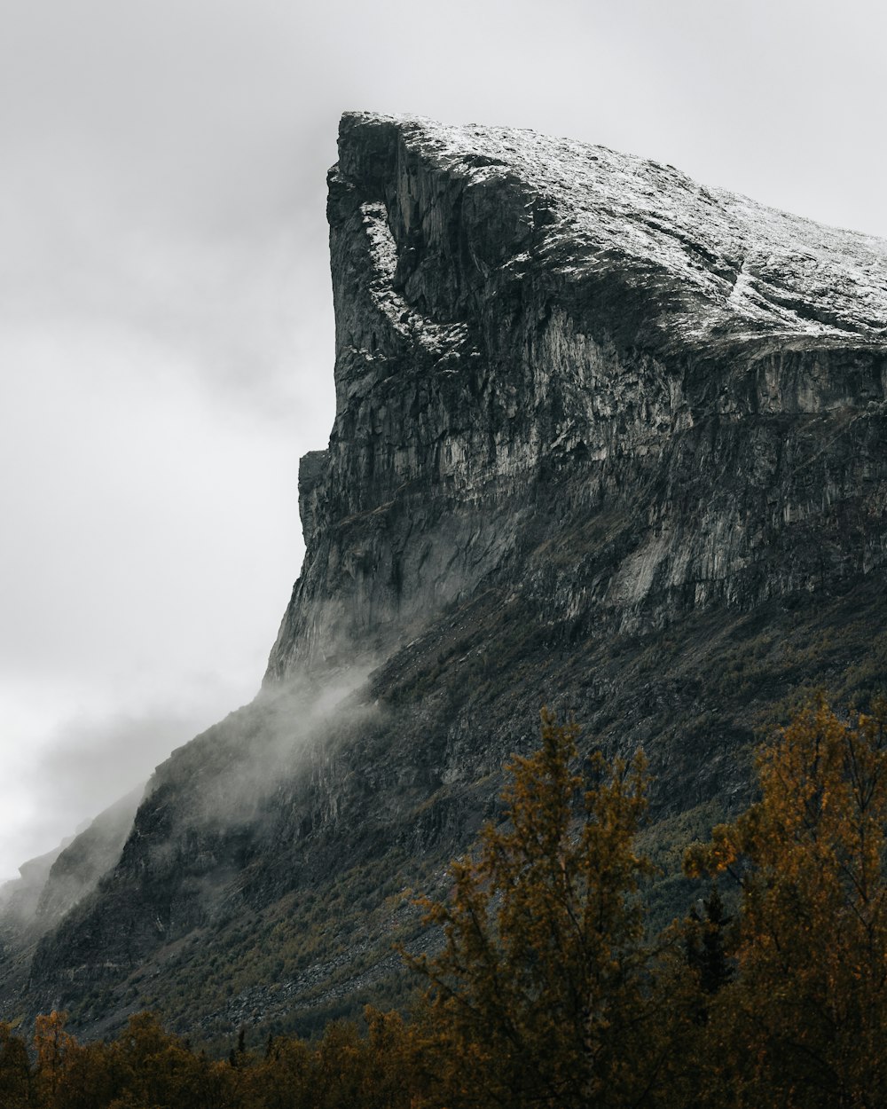 gray rocky mountain with yellow and orange trees under white cloudy sky during daytime