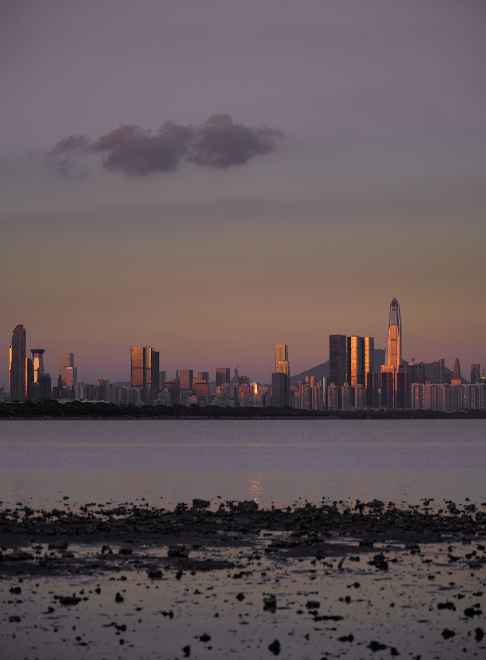 city skyline across body of water during daytime