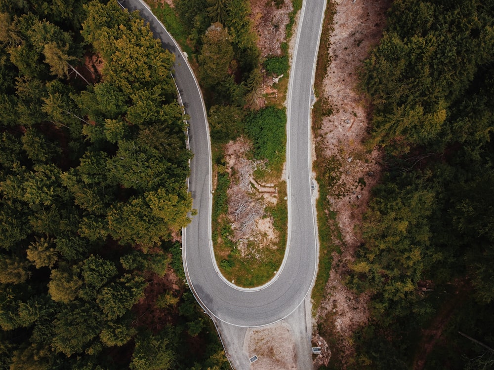 Vue aérienne d’arbres verts pendant la journée