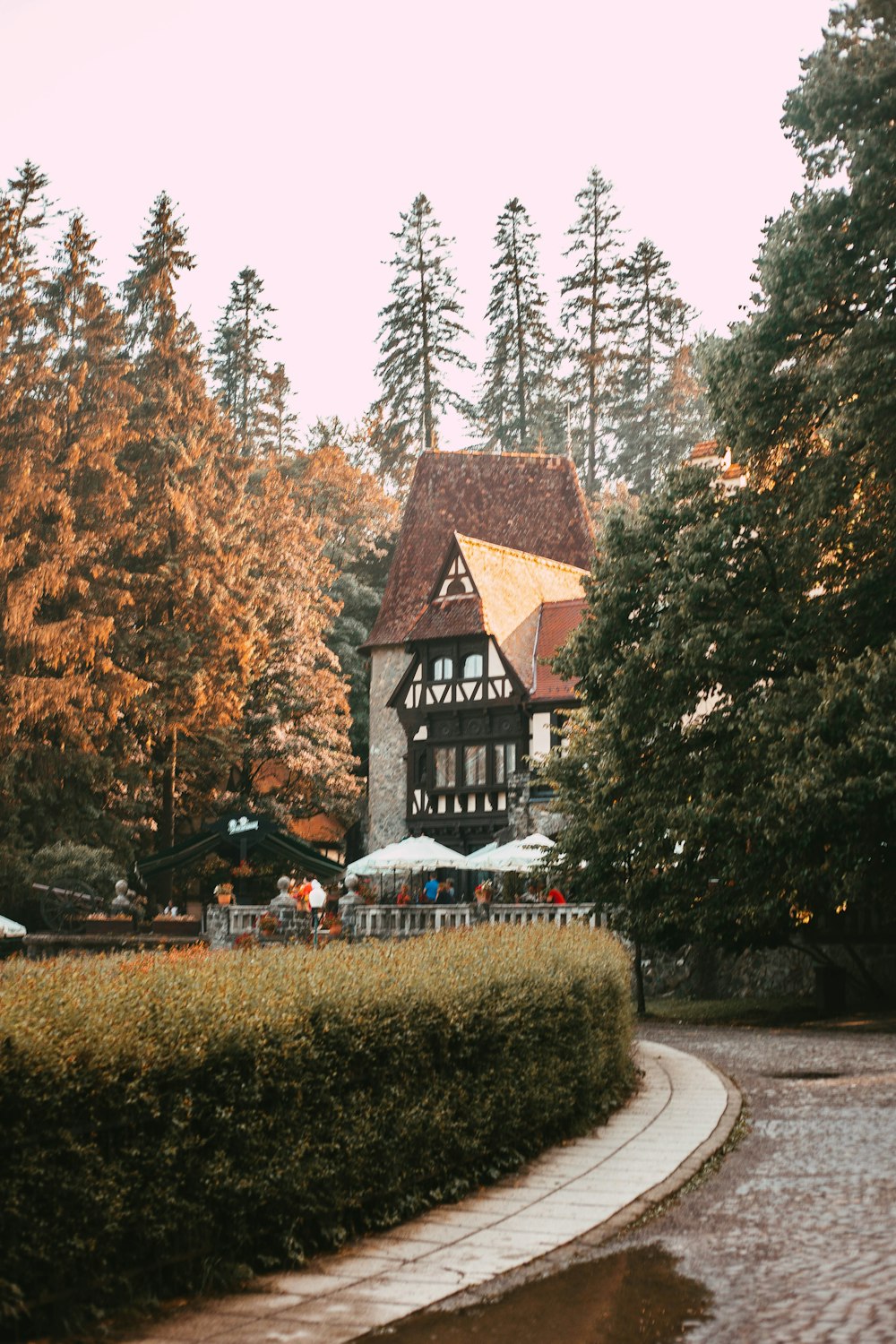 brown and white house surrounded by trees