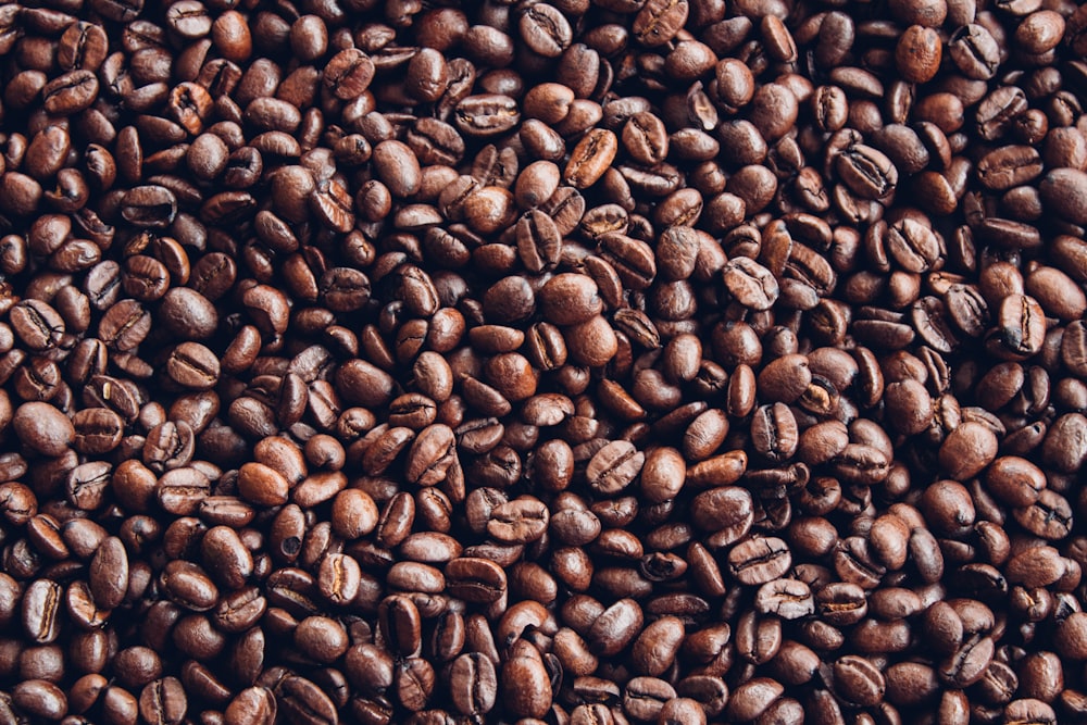 brown coffee beans on brown wooden surface
