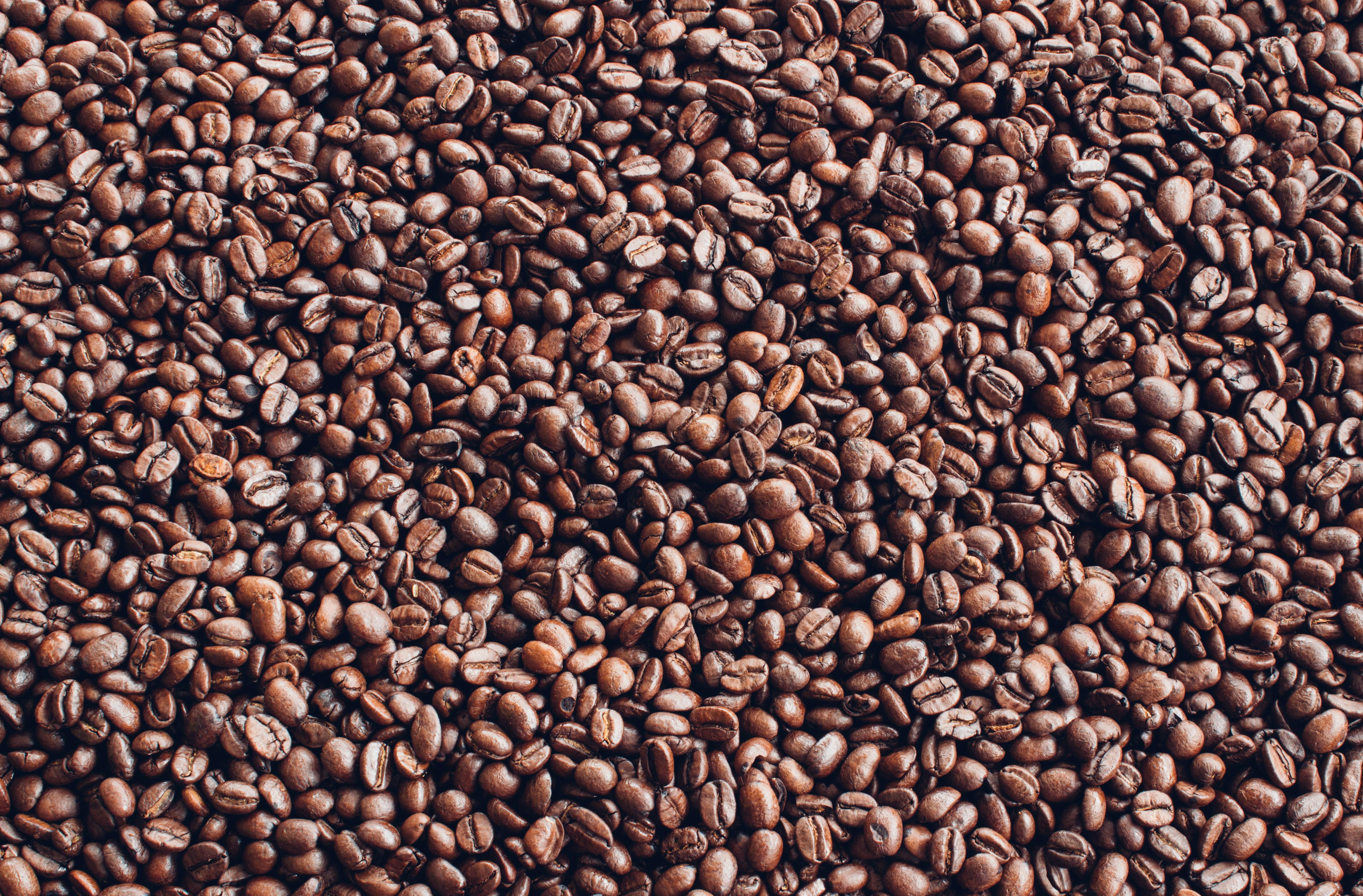 Photo by jjbadenhorst